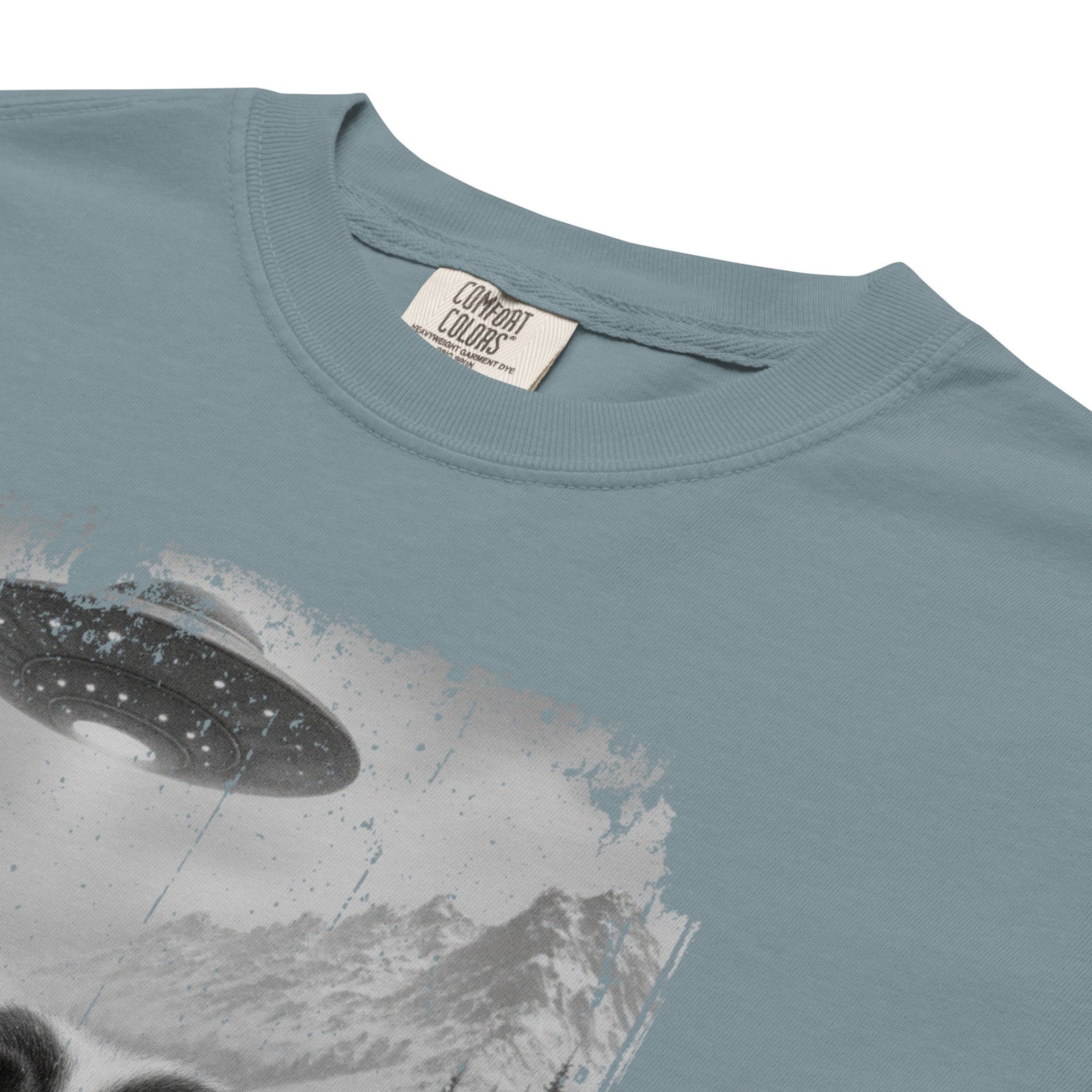 UFO Mountain Saint Bernard Selfie T-Shirt - Lucy + Norman