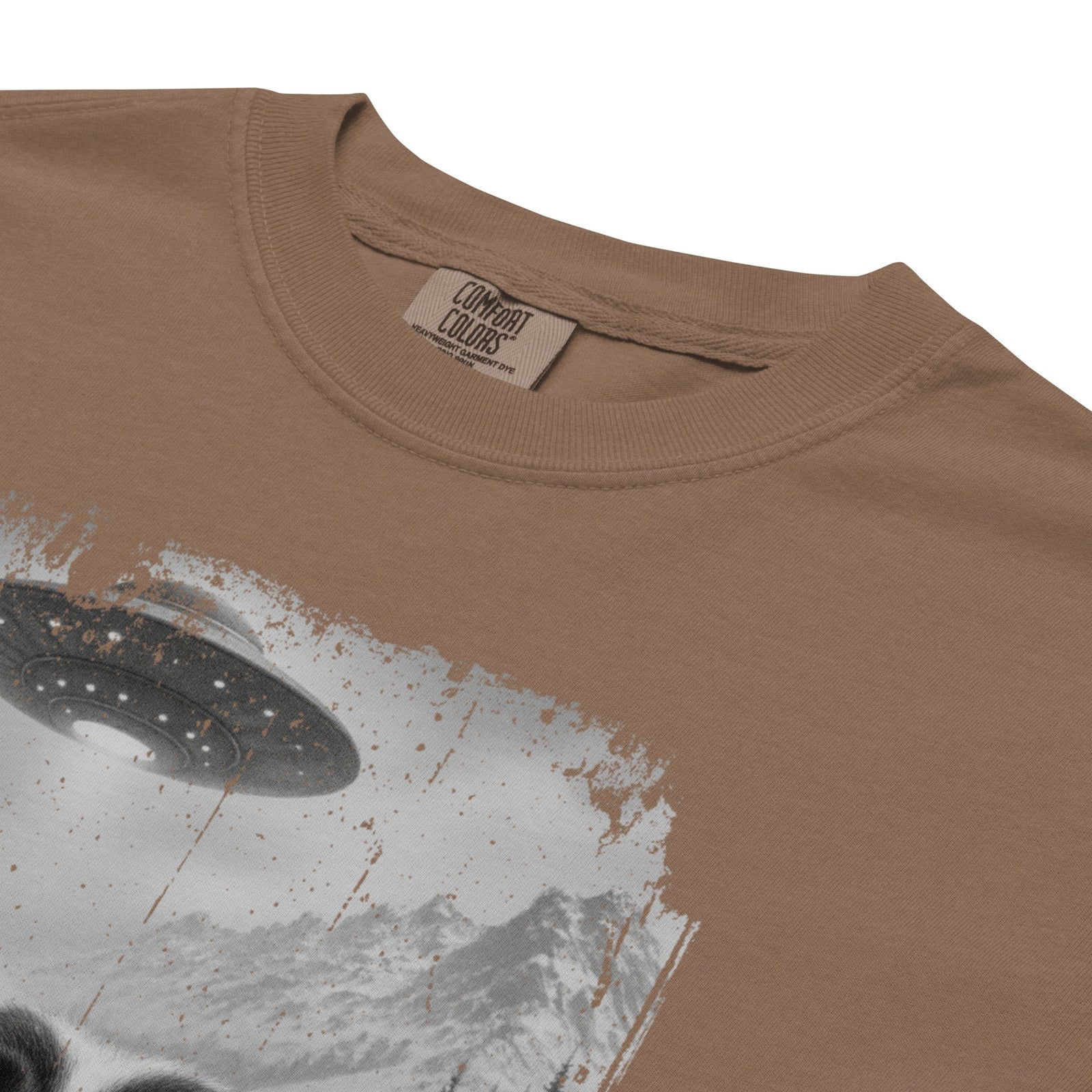 UFO Mountain Saint Bernard Selfie T-Shirt - Lucy + Norman