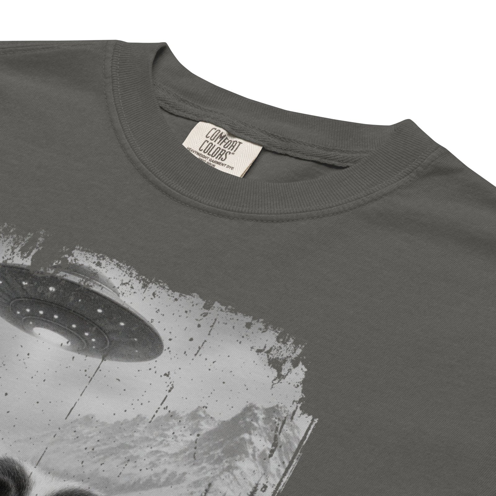 UFO Mountain Saint Bernard Selfie T-Shirt - Lucy + Norman