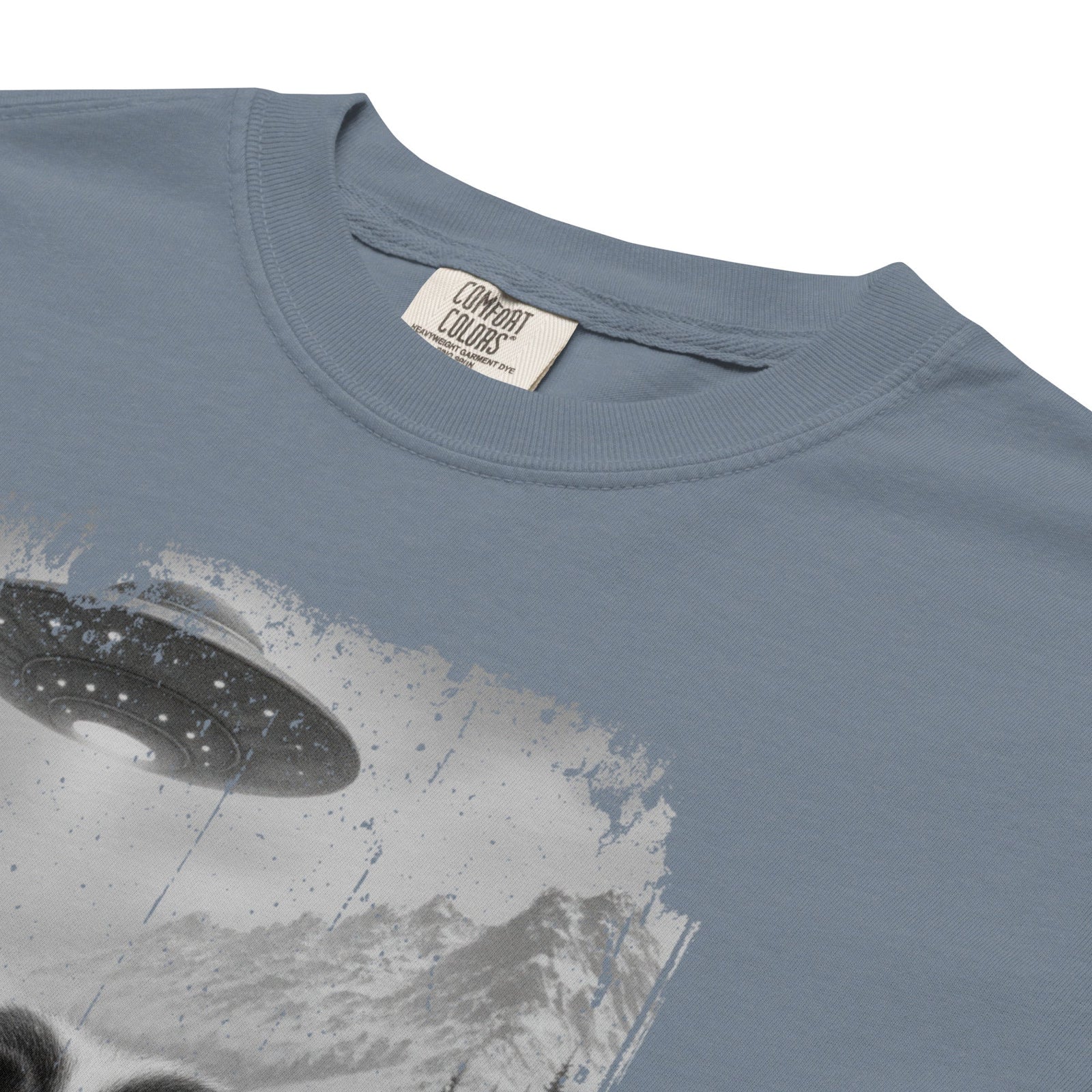 UFO Mountain Saint Bernard Selfie T-Shirt - Lucy + Norman