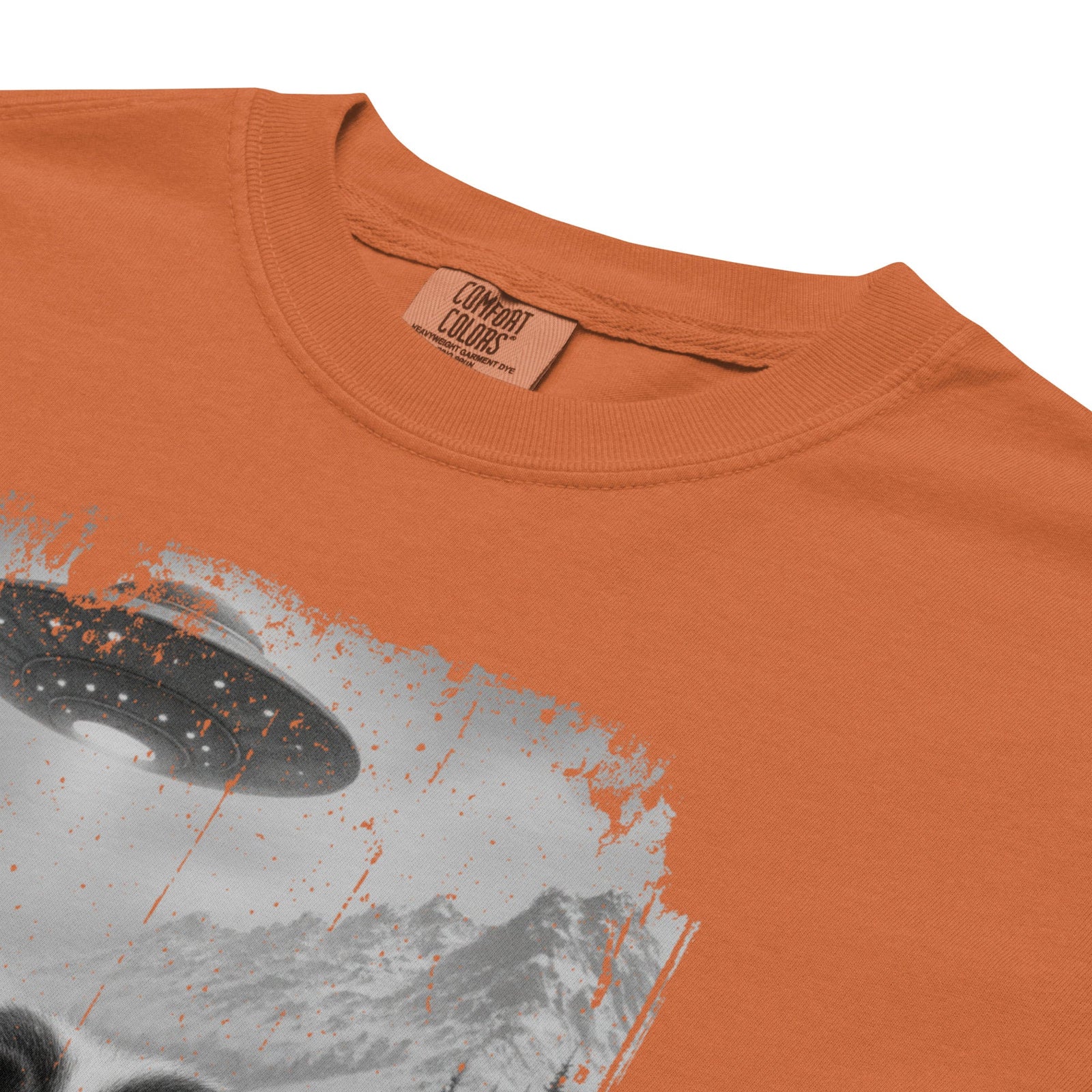 UFO Mountain Saint Bernard Selfie T-Shirt - Lucy + Norman