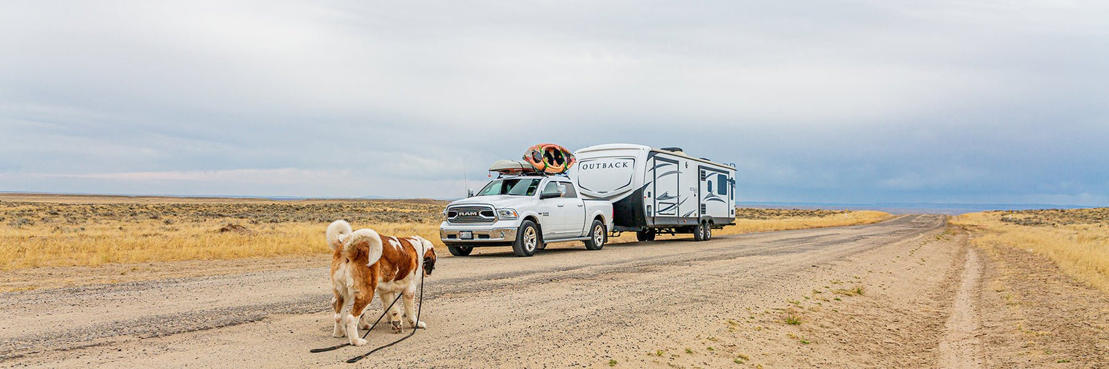 Saint Bernard Notebooks + Journals - Lucy + Norman