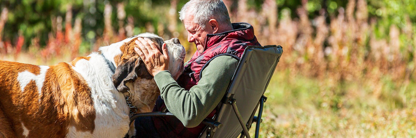 The Saint Bernard Dog Dad Collection - Lucy + Norman