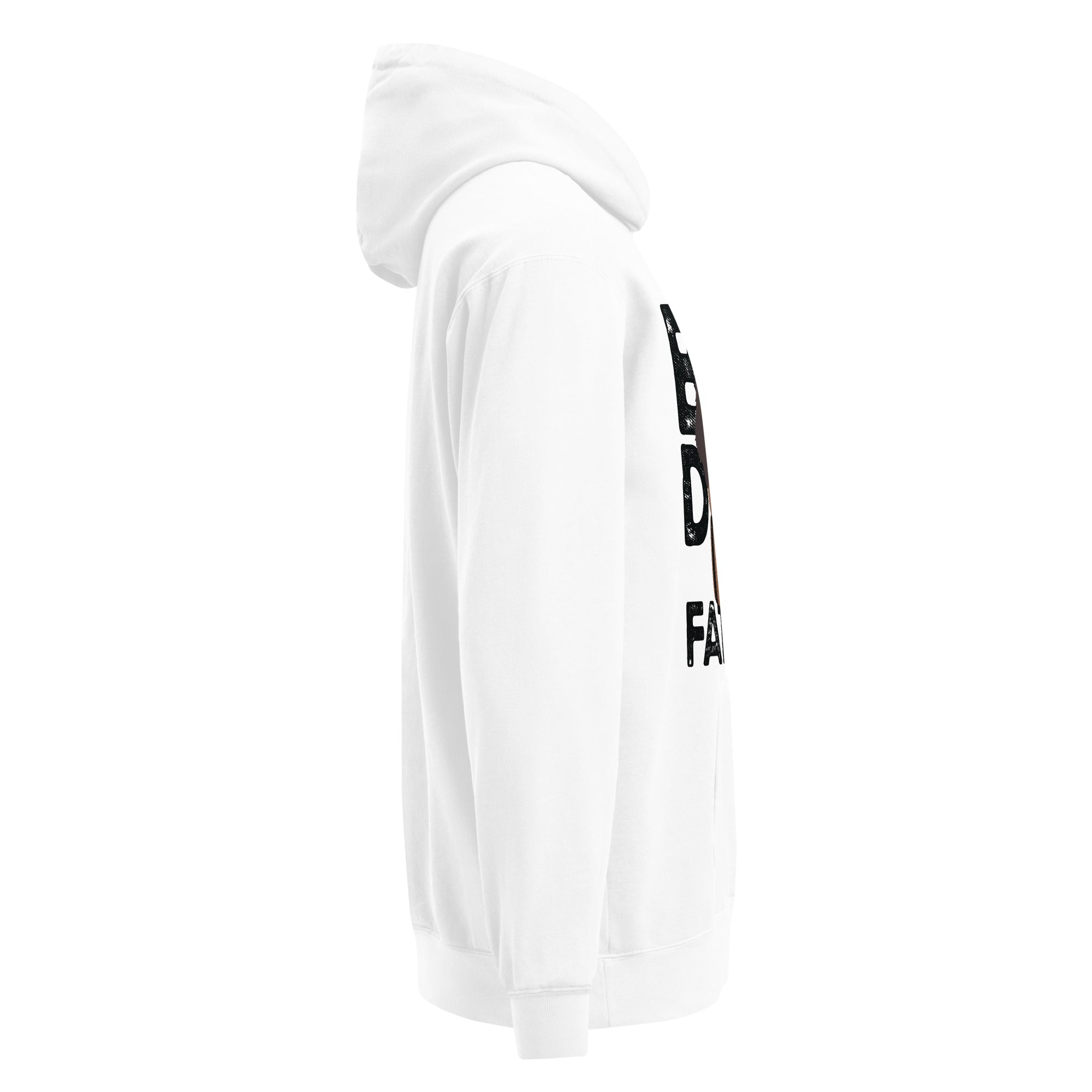 Big Dog Father Saint Bernard Comfort Colors® Hoodie - Black - Lucy + Norman