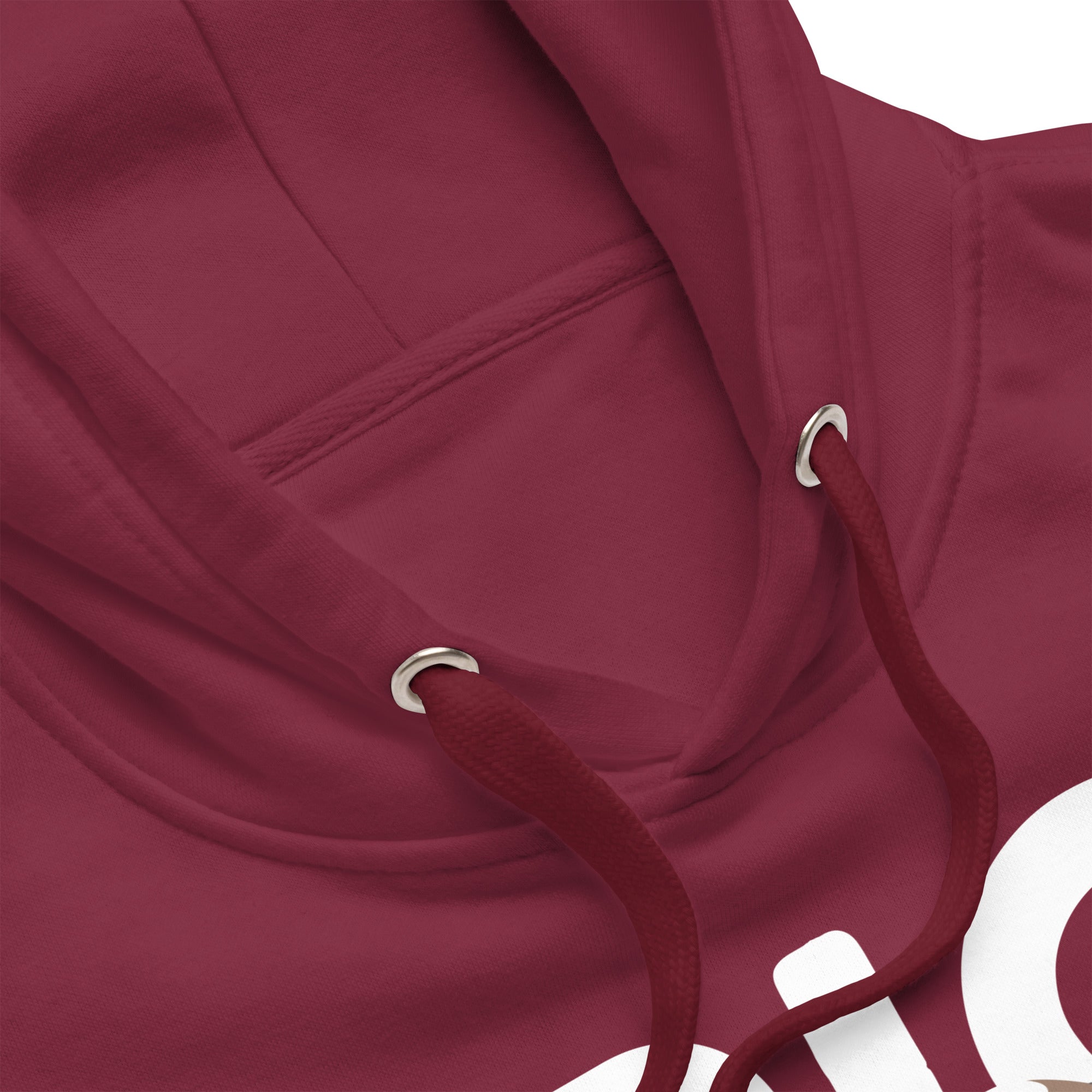 Big Dog Mom Saint Bernard Hoodie - Lucy + Norman