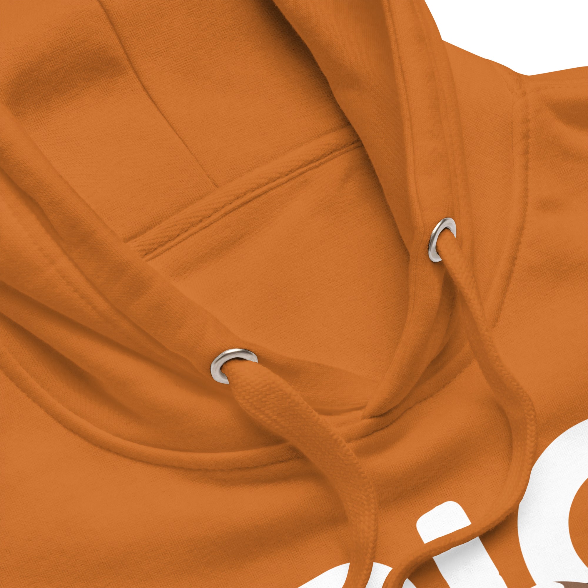 Big Dog Mom Saint Bernard Hoodie - Lucy + Norman