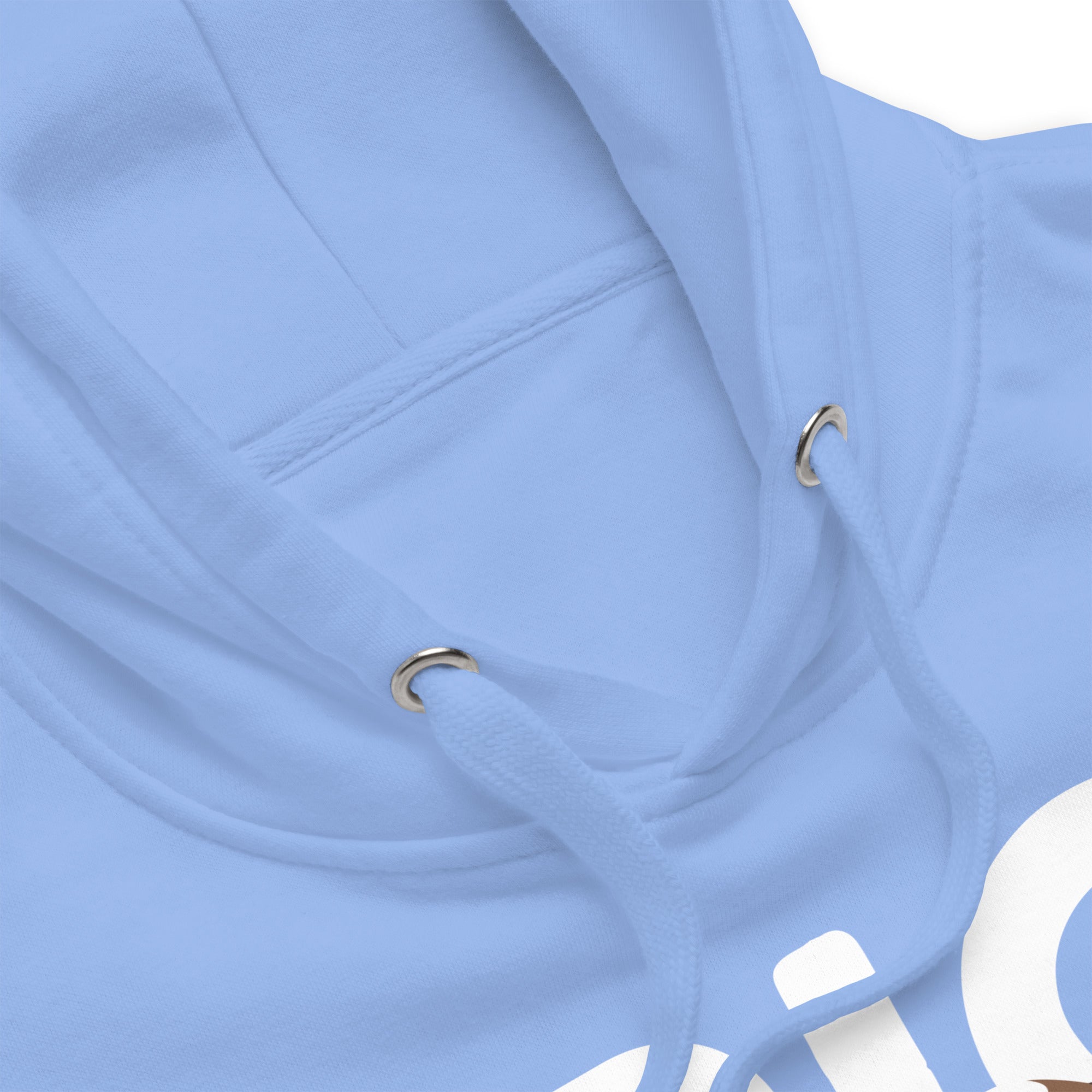 Big Dog Mom Saint Bernard Hoodie - Lucy + Norman