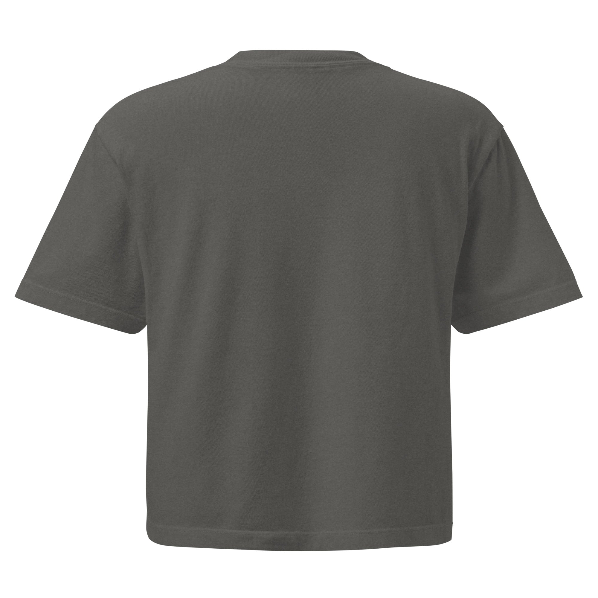 Big Dog Mom Women’s Heavyweight Boxy Comfort Colors Tee - Lucy + Norman