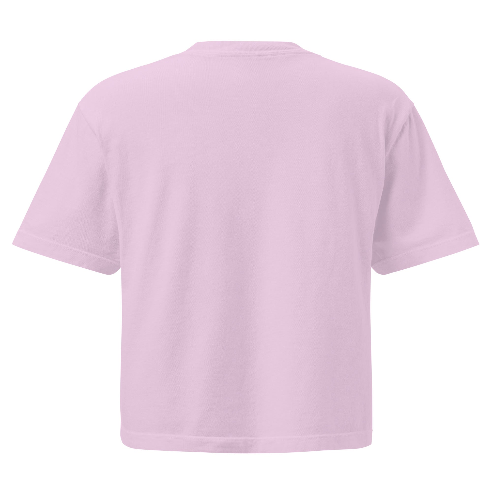 Big Dog Mom Women’s Heavyweight Boxy Comfort Colors Tee - Lucy + Norman
