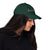 Choose Your Phrase Saint Bernard Dog Embroidered Dad Hat - Lucy + Norman