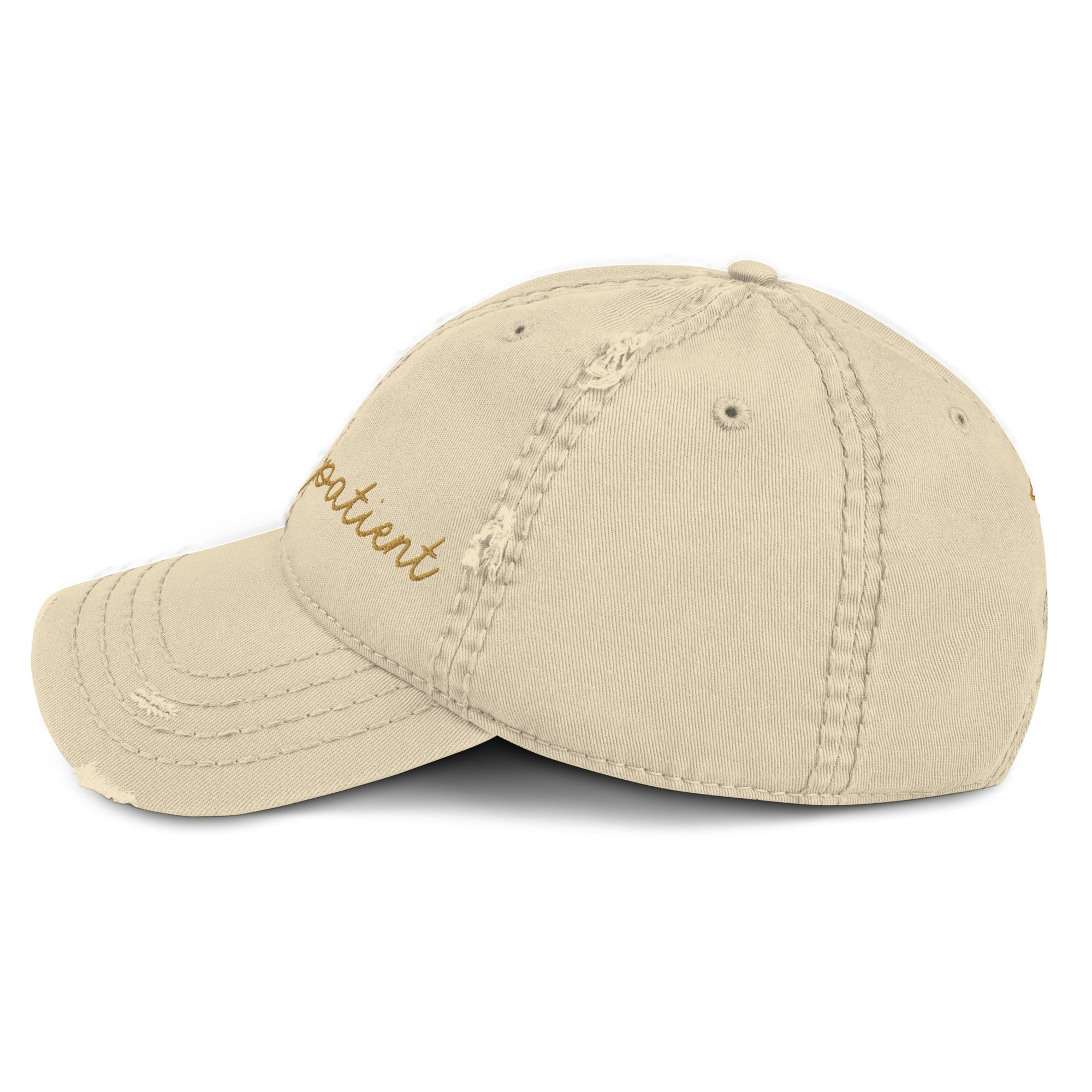 Choose Your Phrase Saint Bernard Embroidered Distressed Hat