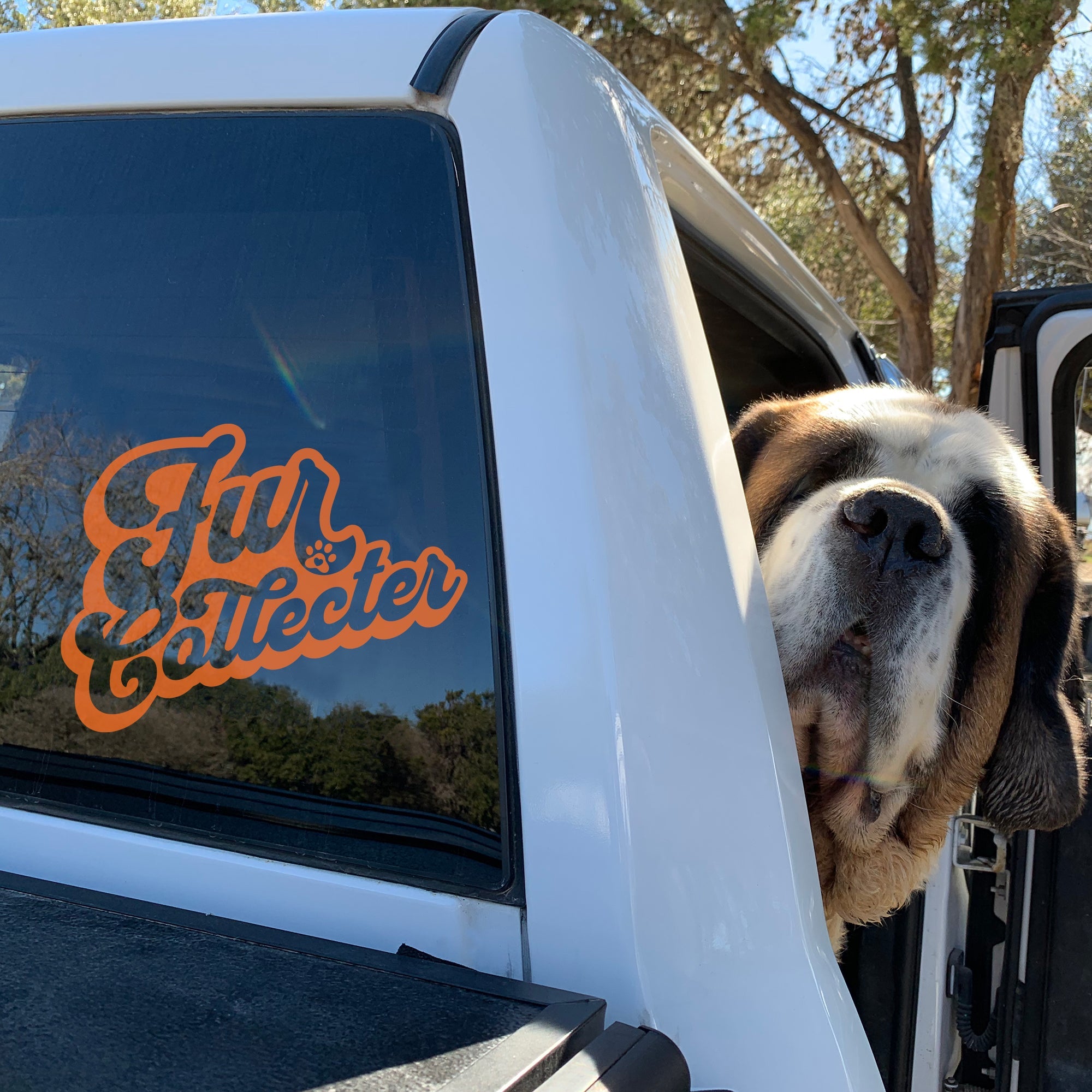 Fur Collector Window Decal - Lucy + Norman