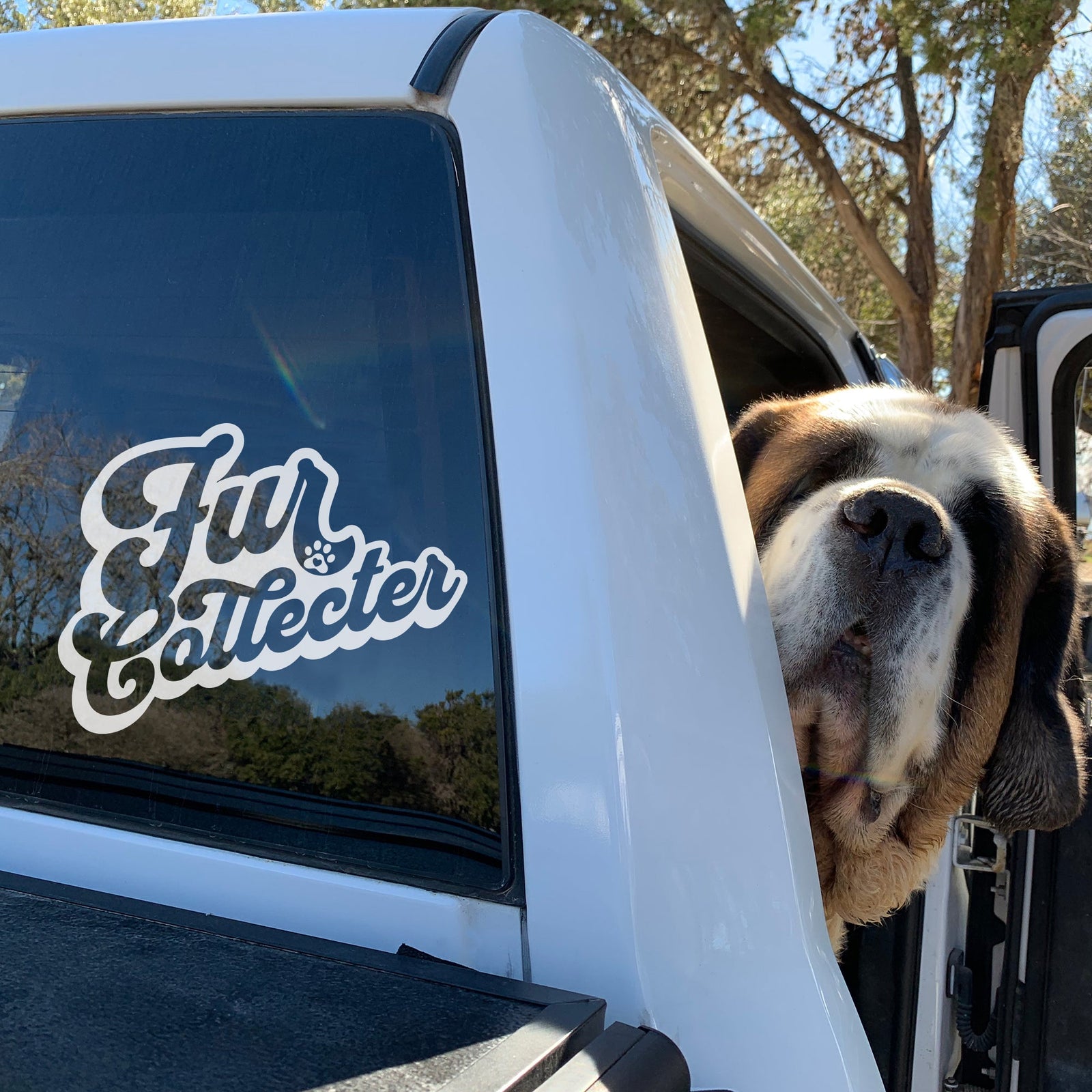 Fur Collector Window Decal - Lucy + Norman