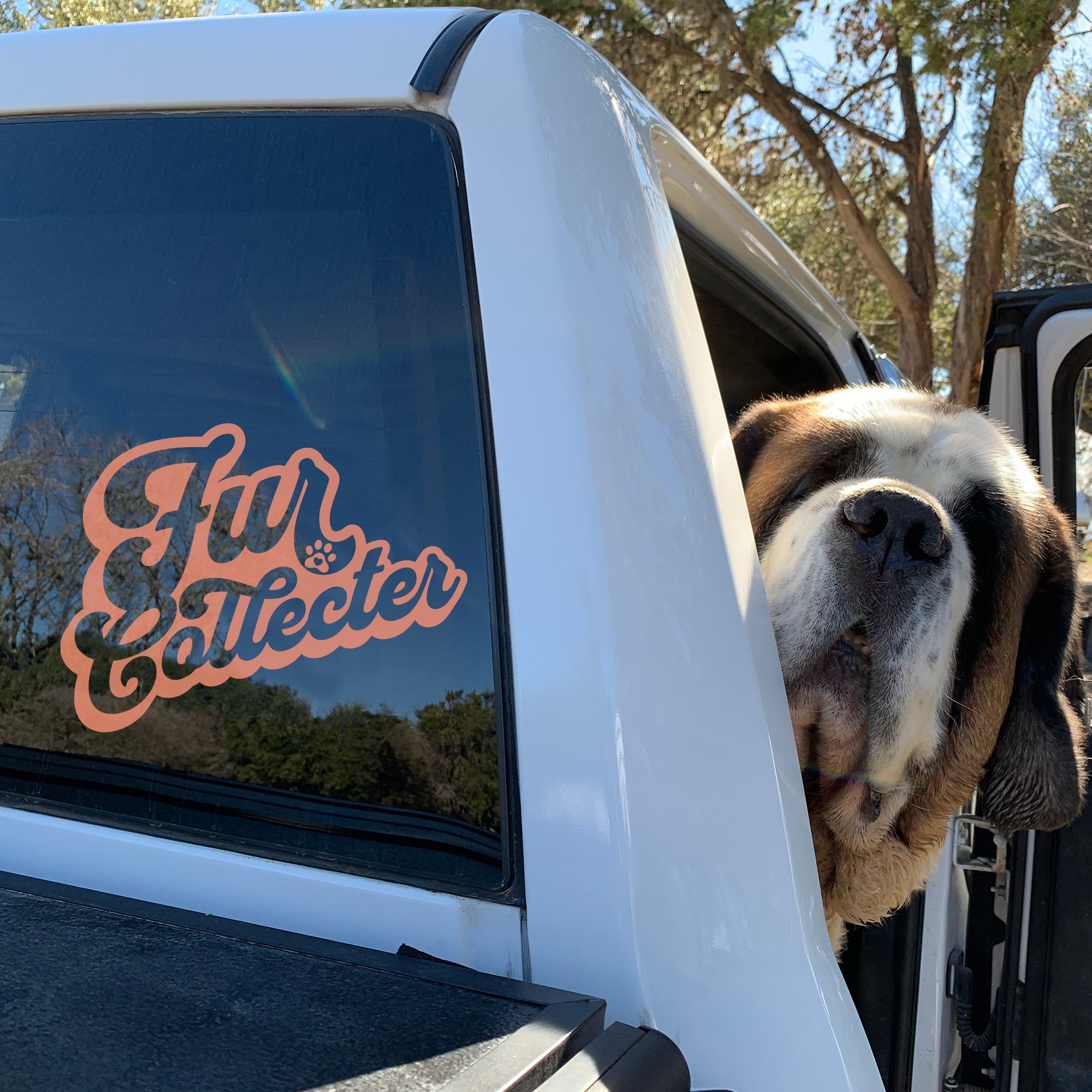 Fur Collector Window Decal - Lucy + Norman