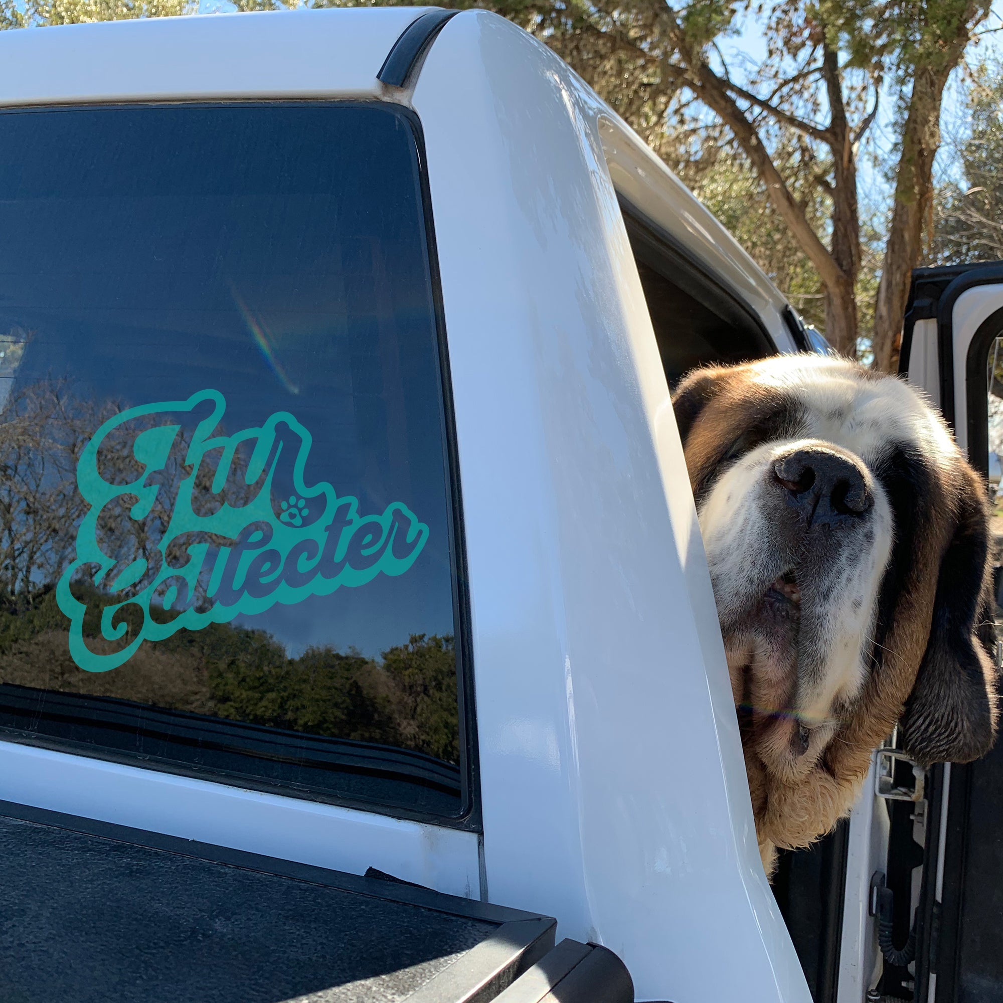 Fur Collector Window Decal - Lucy + Norman