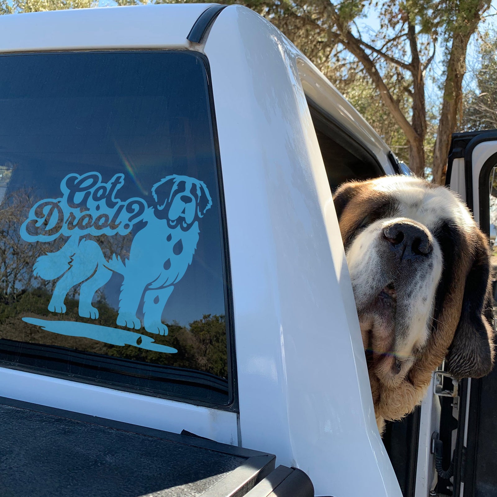 Got Drool Saint Bernard Window Decal - Lucy + Norman