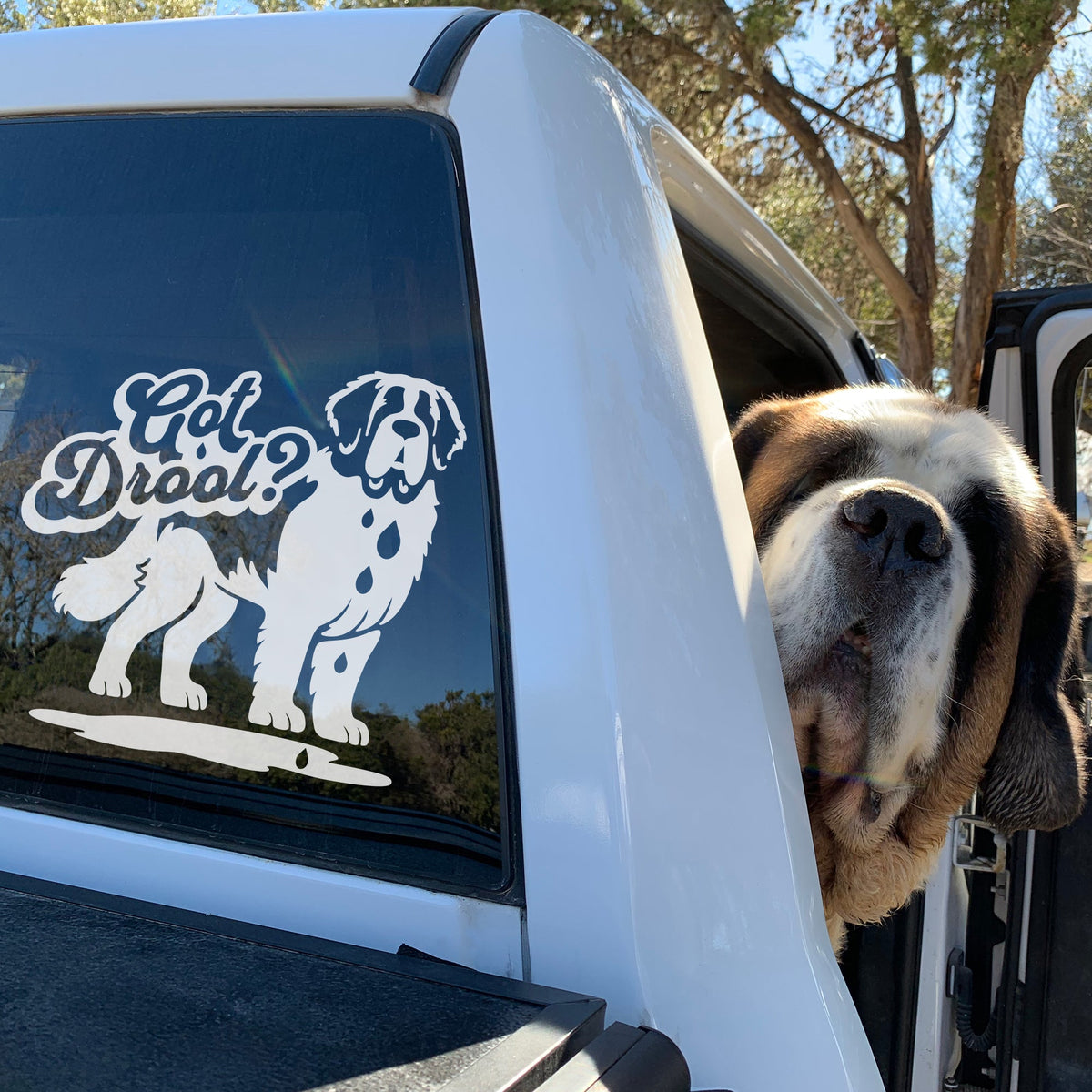 Got Drool Saint Bernard Window Decal - Lucy + Norman