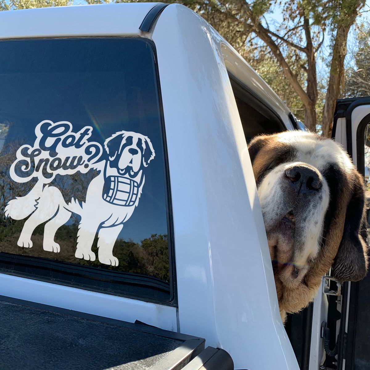 Got Snow Saint Bernard Window Decal - Lucy + Norman