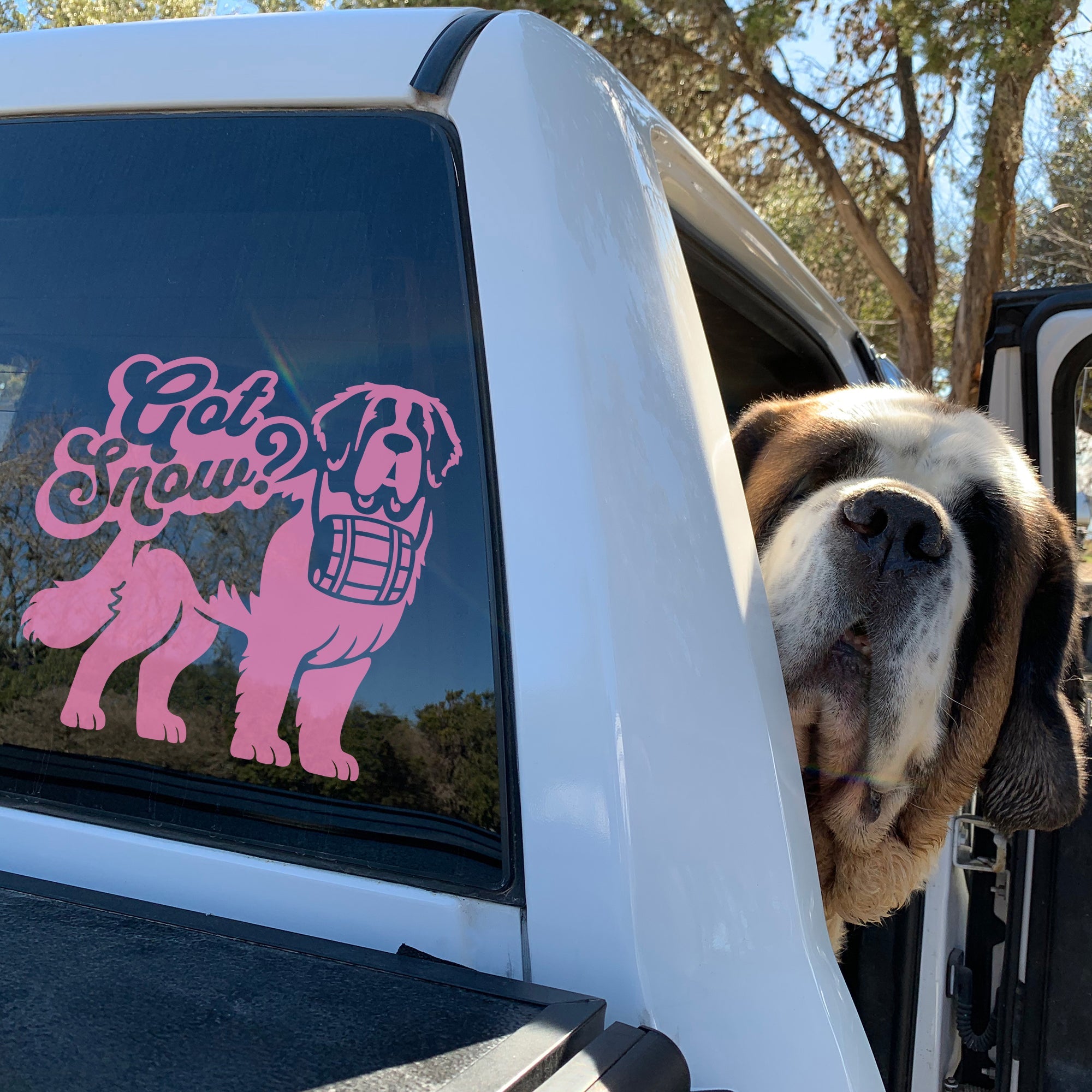 Got Snow Saint Bernard Window Decal - Lucy + Norman