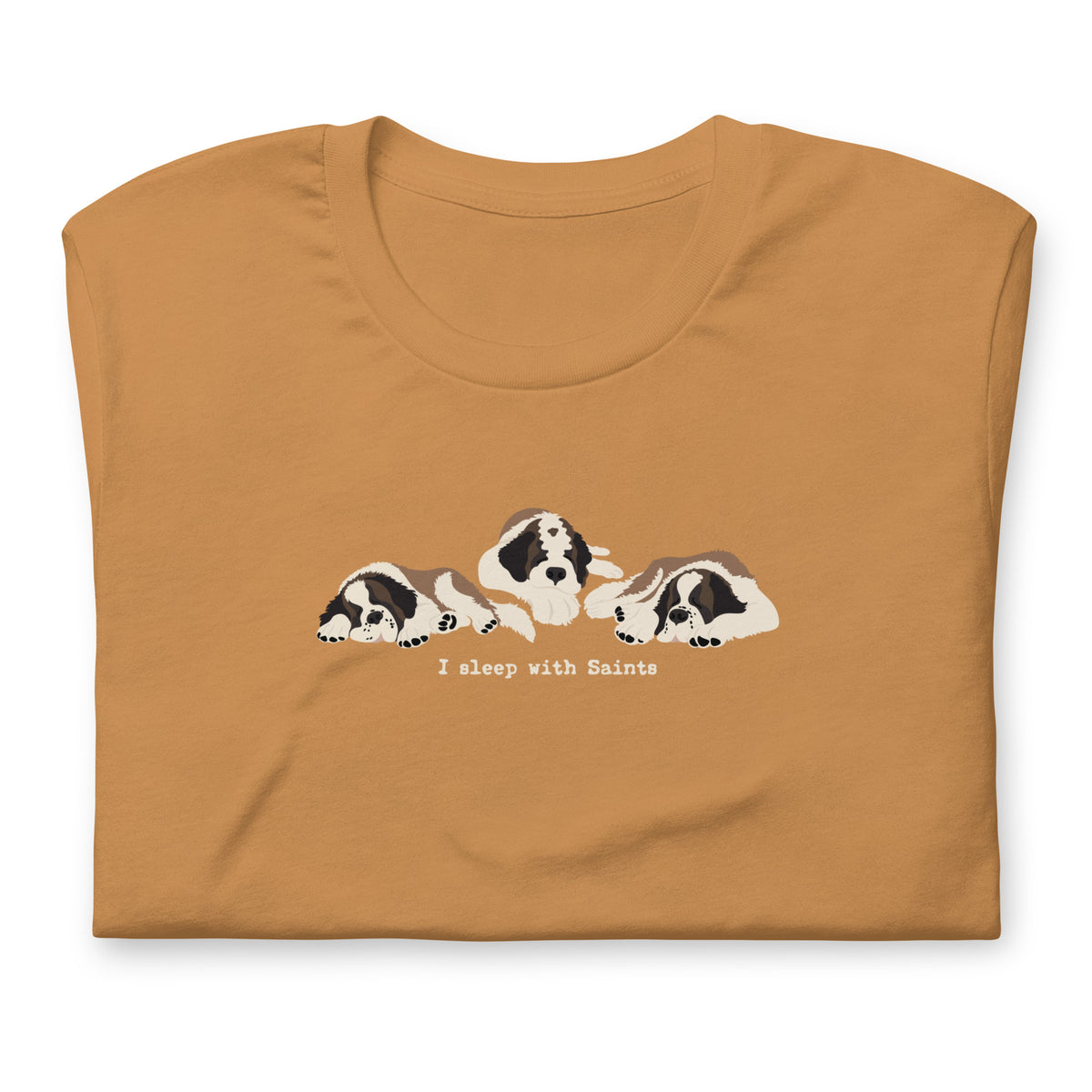 I Sleep with Saints Lightweight T-shirt