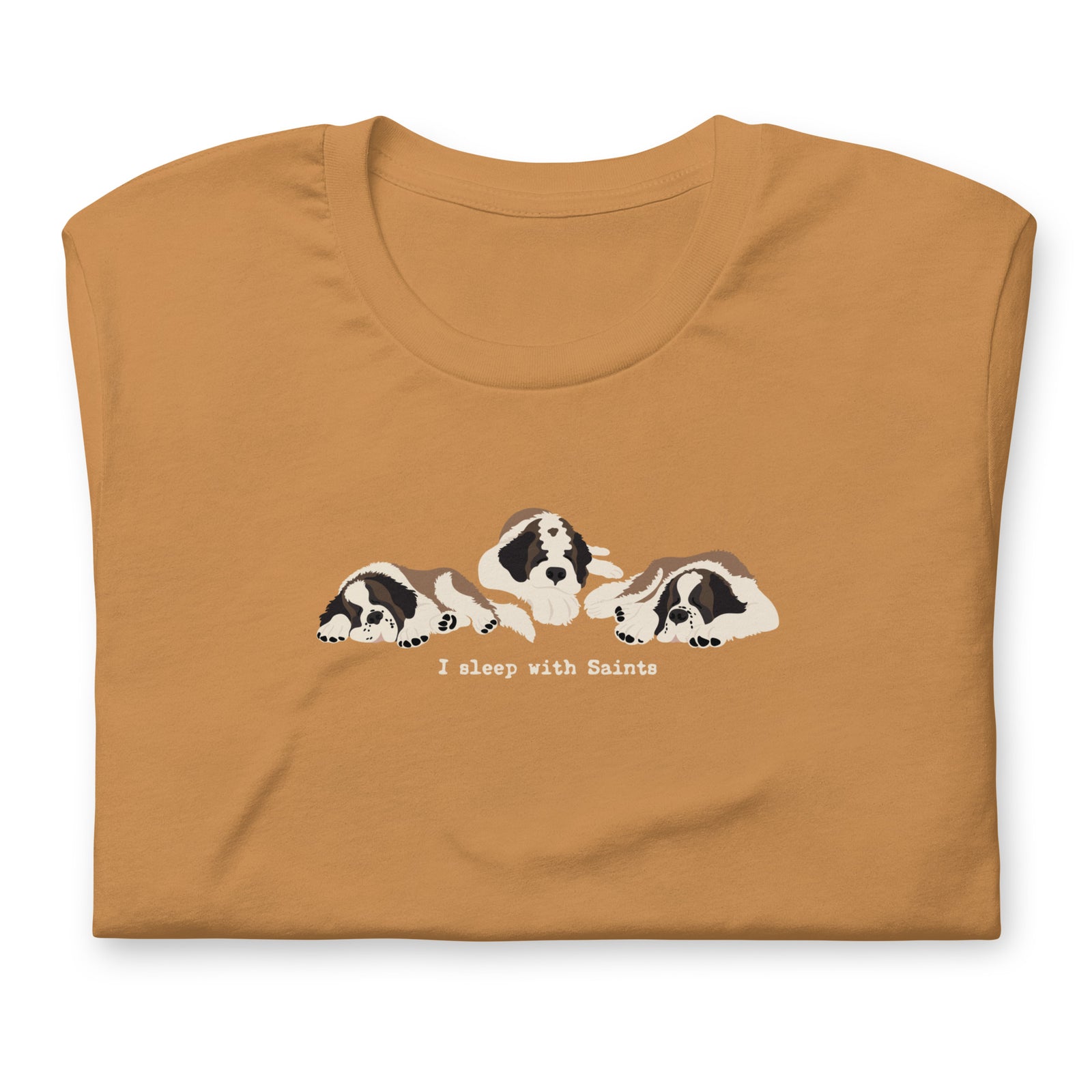 I Sleep with Saints Lightweight T-shirt