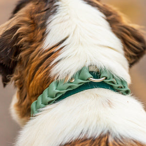 Meadow Roamer Braided Collar - Lucy + Norman