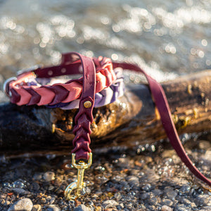 Pathfinder Braided Dog Collar - Lucy + Norman