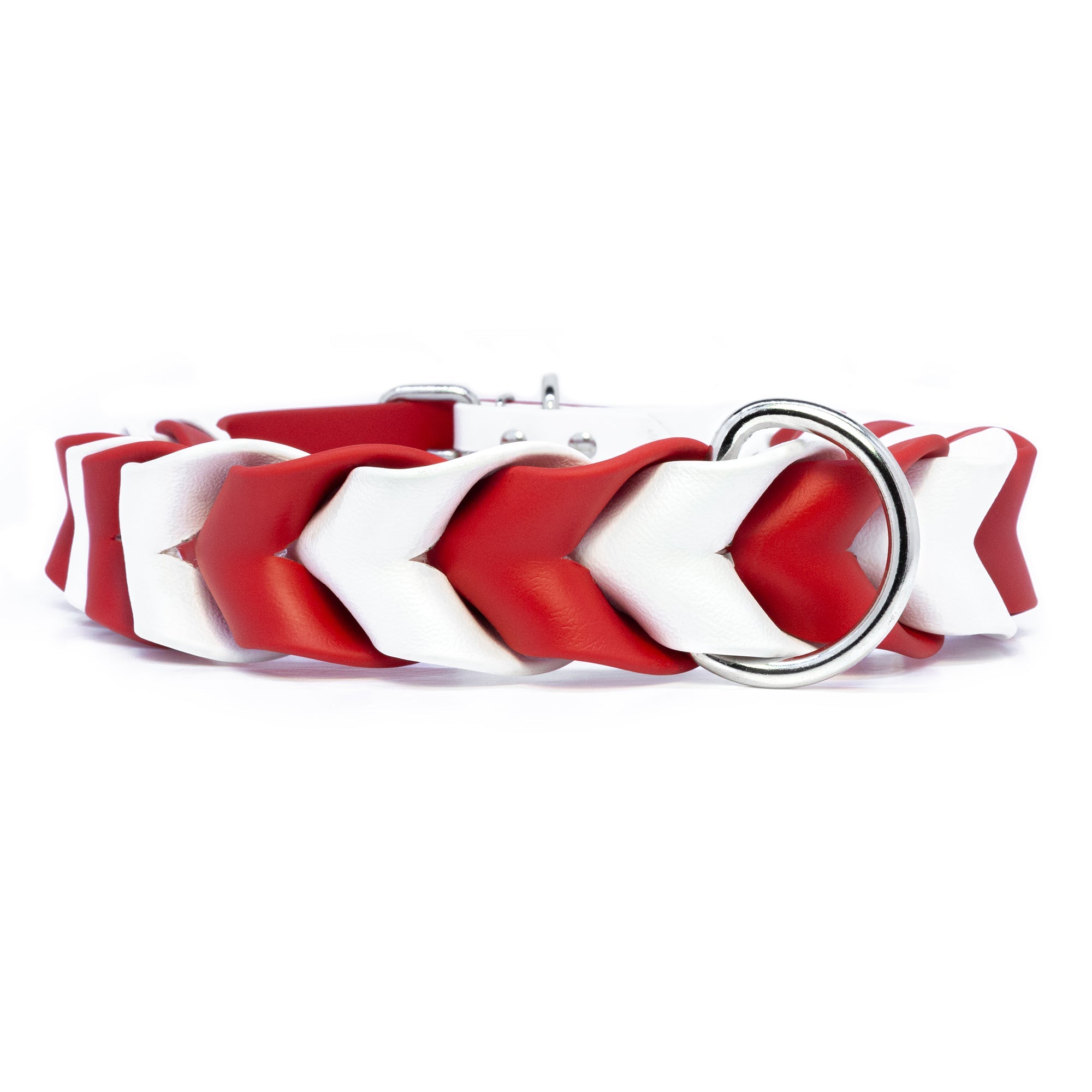 Pathfinder Braided Dog Collar - Lucy + Norman