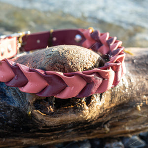 Pathfinder Braided Dog Collar - Lucy + Norman