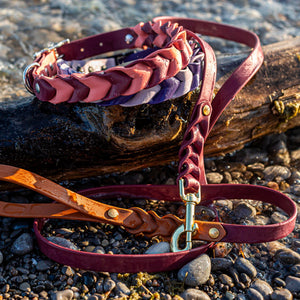 Pathfinder Braided Dog Collar - Lucy + Norman