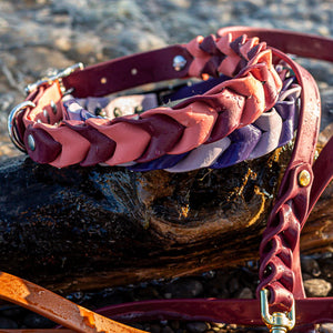 Pathfinder Braided Dog Collar - Lucy + Norman