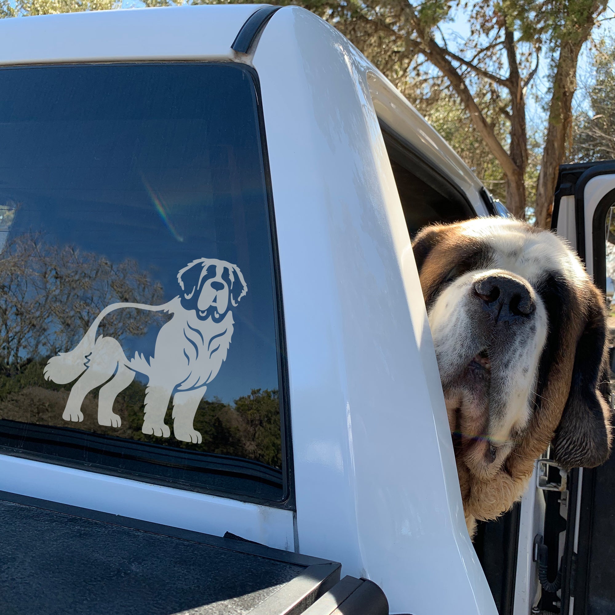 Saint Bernard Car Window Decal - Lucy + Norman