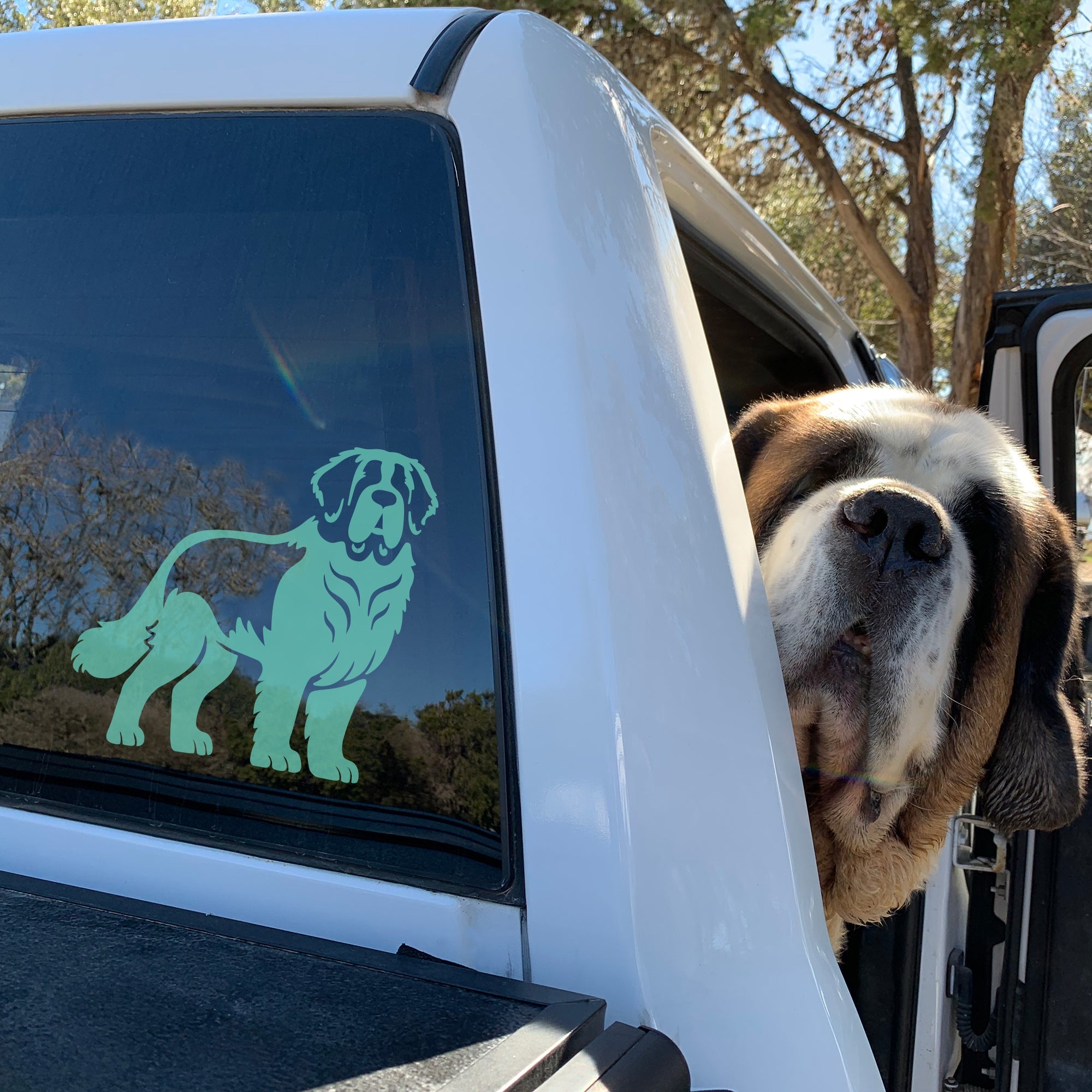 Saint Bernard Car Window Decal - Lucy + Norman