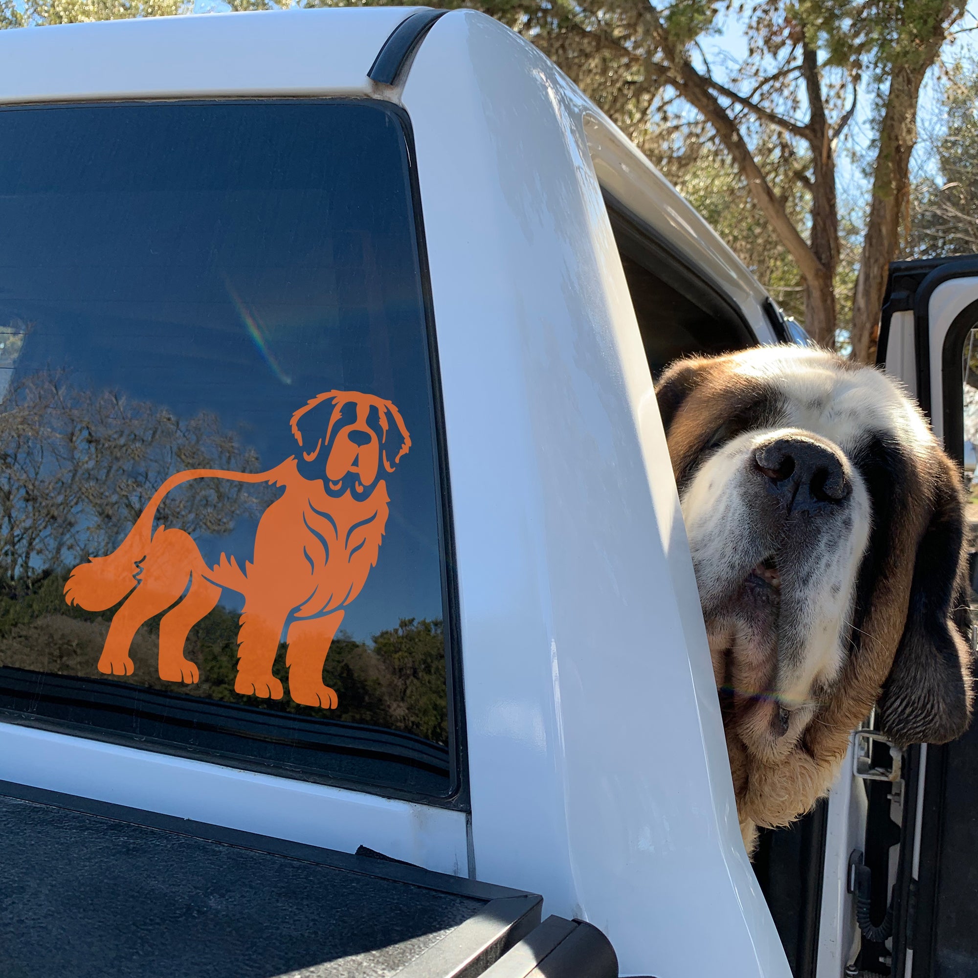 Saint Bernard Car Window Decal - Lucy + Norman