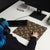 St Bernard Fall Meadow XL Desk Mouse Pad - Lucy + Norman