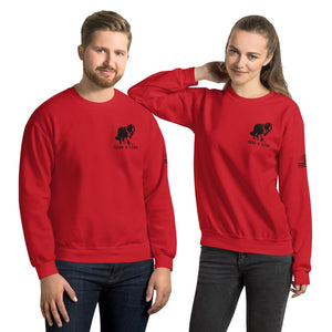 Take a Hike Redwoods with USA Flag Sweatshirt - Lucy + Norman