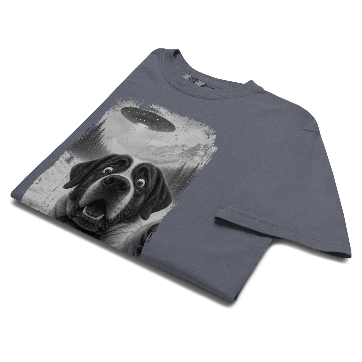 UFO Mountain Saint Bernard Selfie T-Shirt - Lucy + Norman