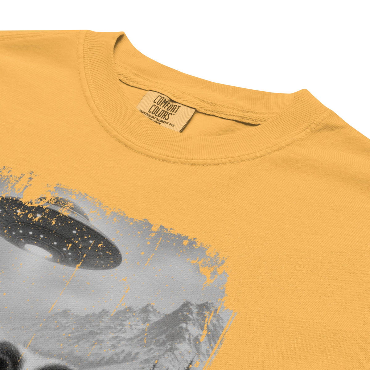 UFO Mountain Saint Bernard Selfie T-Shirt - Lucy + Norman