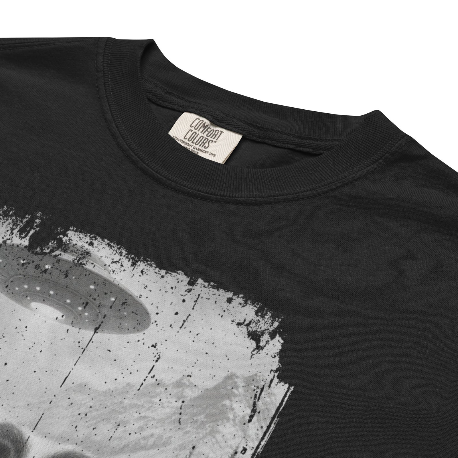 UFO Mountain Saint Bernard Selfie T-Shirt - Lucy + Norman