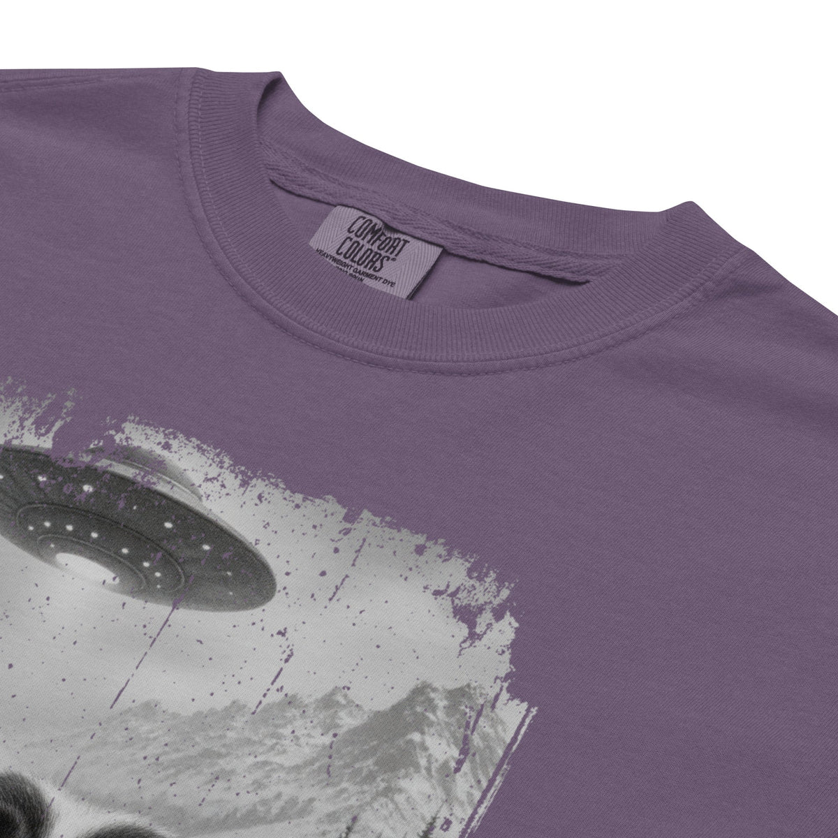 UFO Mountain Saint Bernard Selfie T-Shirt - Lucy + Norman