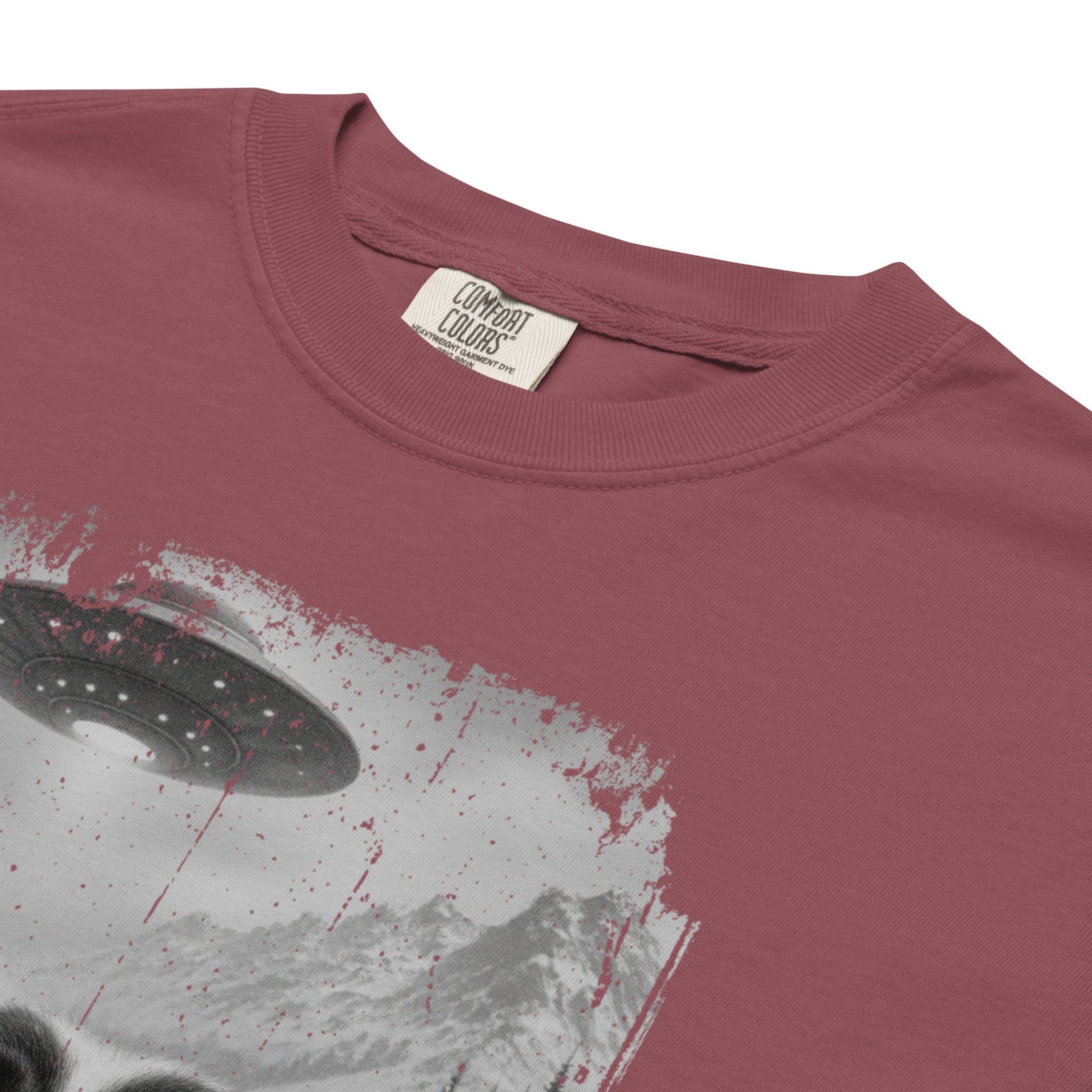 UFO Mountain Saint Bernard Selfie T-Shirt - Lucy + Norman