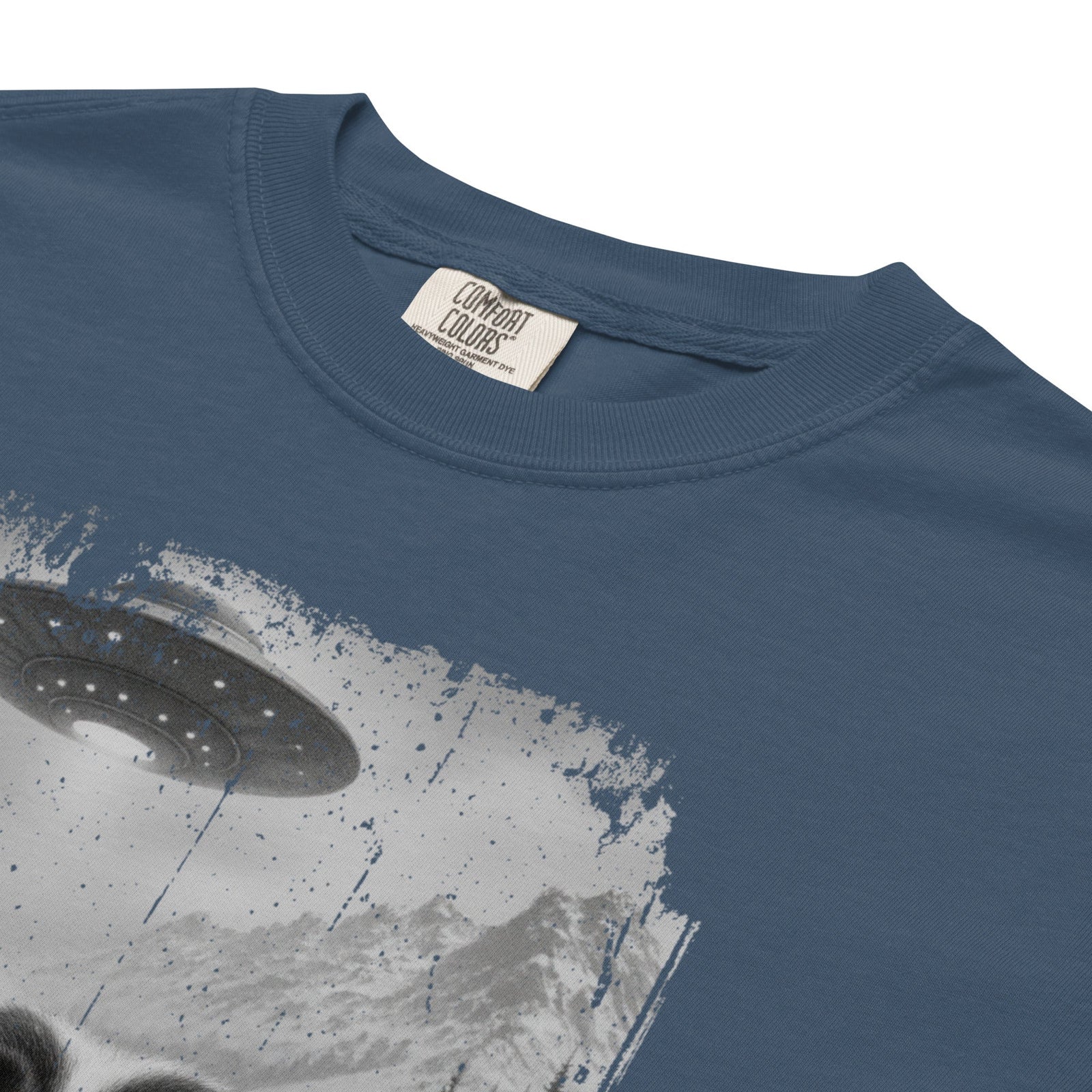 UFO Mountain Saint Bernard Selfie T-Shirt - Lucy + Norman