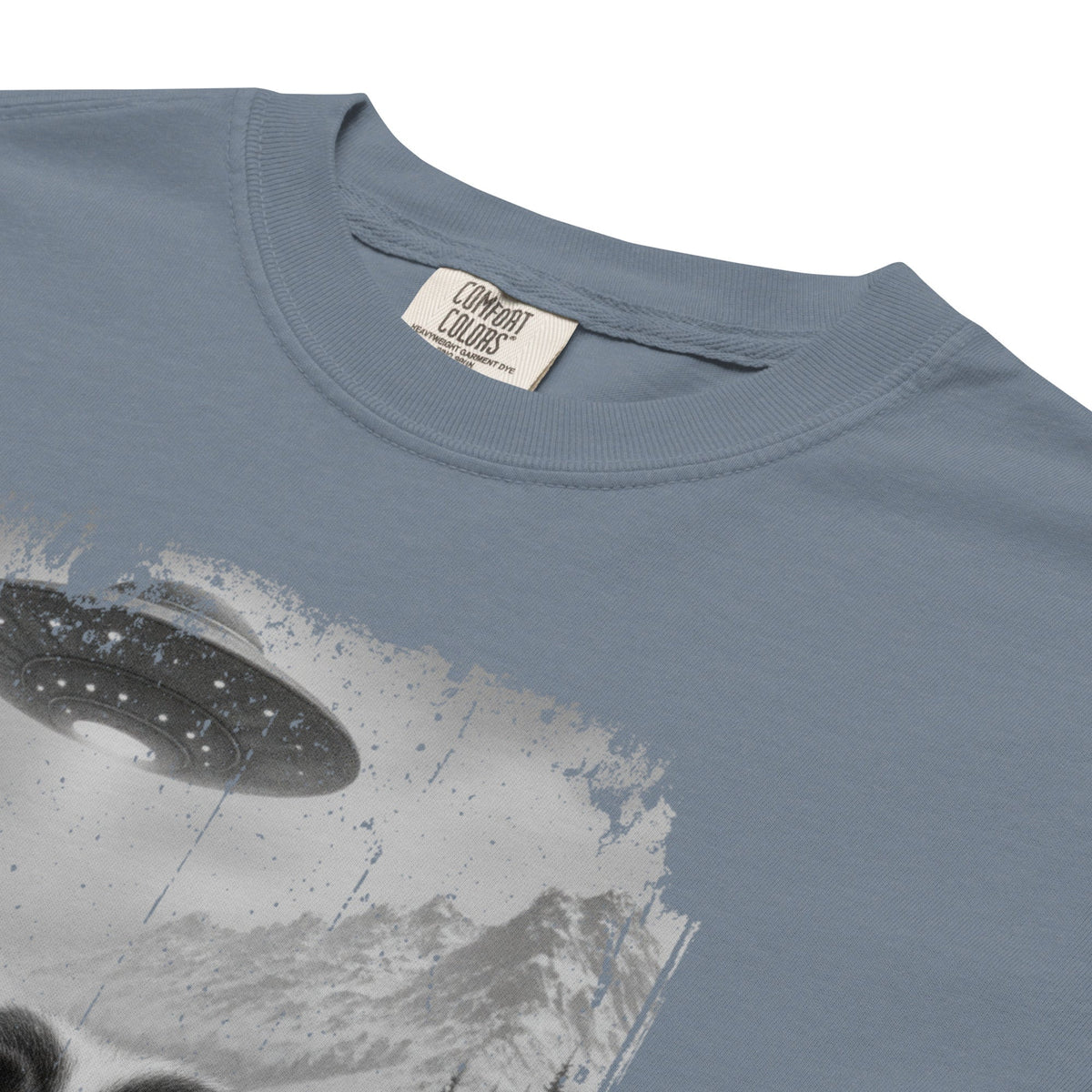 UFO Mountain Saint Bernard Selfie T-Shirt - Lucy + Norman