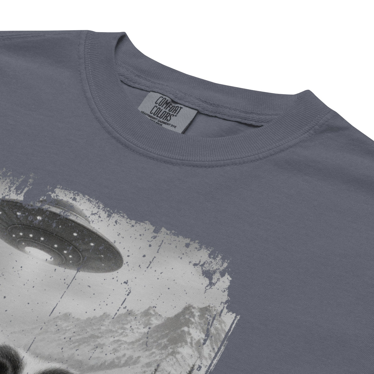 UFO Mountain Saint Bernard Selfie T-Shirt - Lucy + Norman