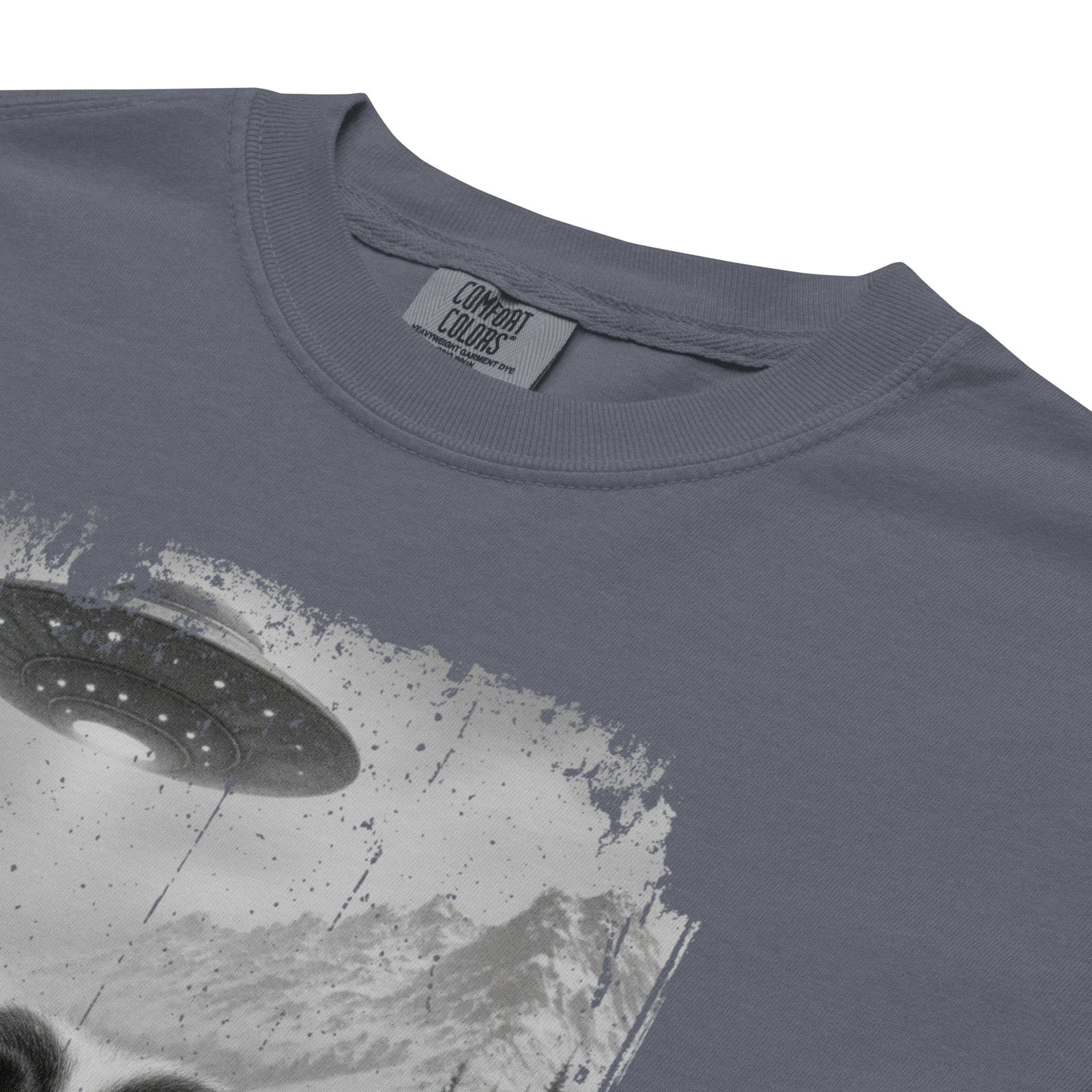 UFO Mountain Saint Bernard Selfie T-Shirt - Lucy + Norman