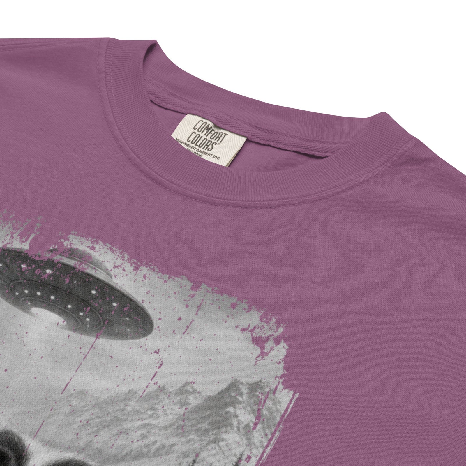 UFO Mountain Saint Bernard Selfie T-Shirt - Lucy + Norman