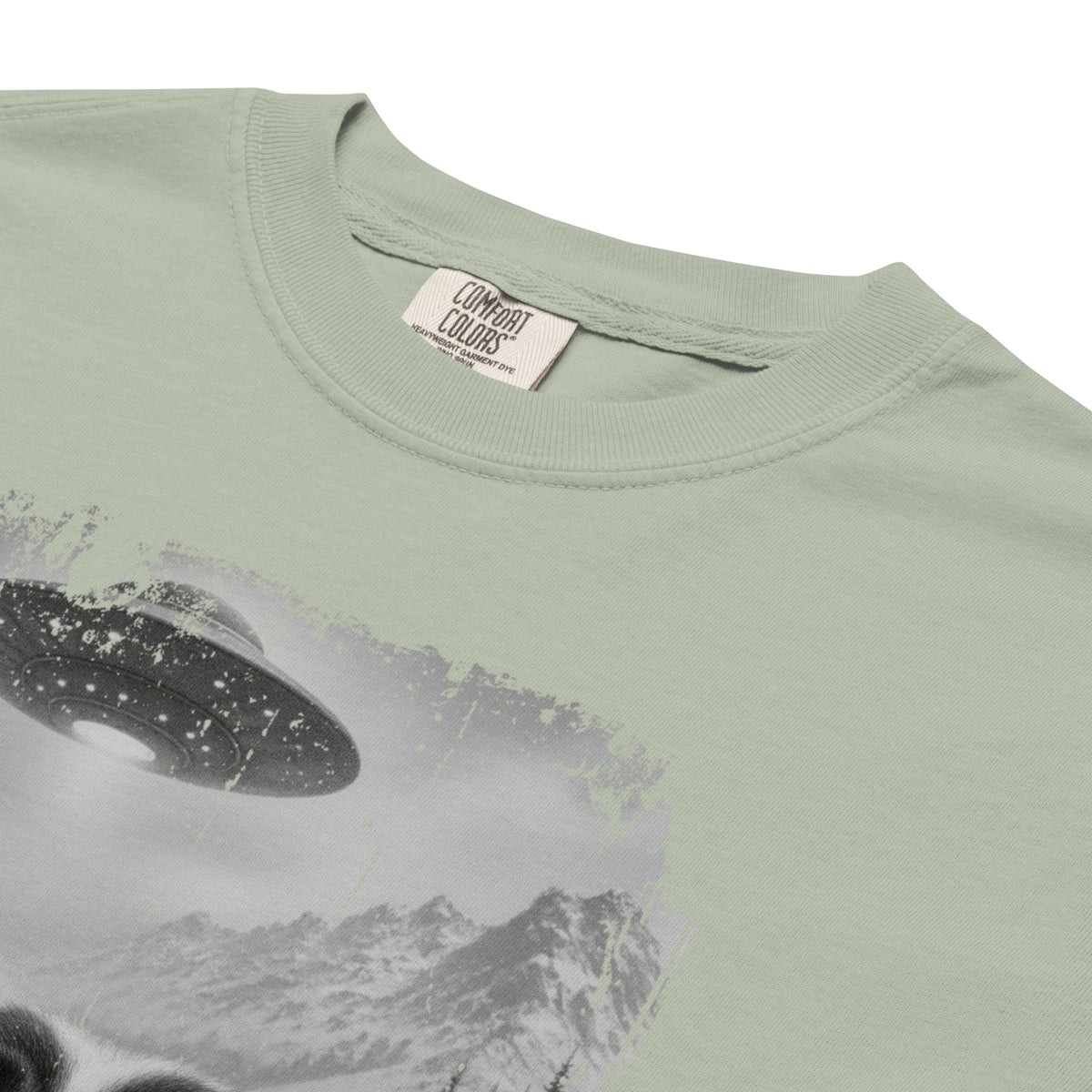 UFO Mountain Saint Bernard Selfie T-Shirt - Lucy + Norman