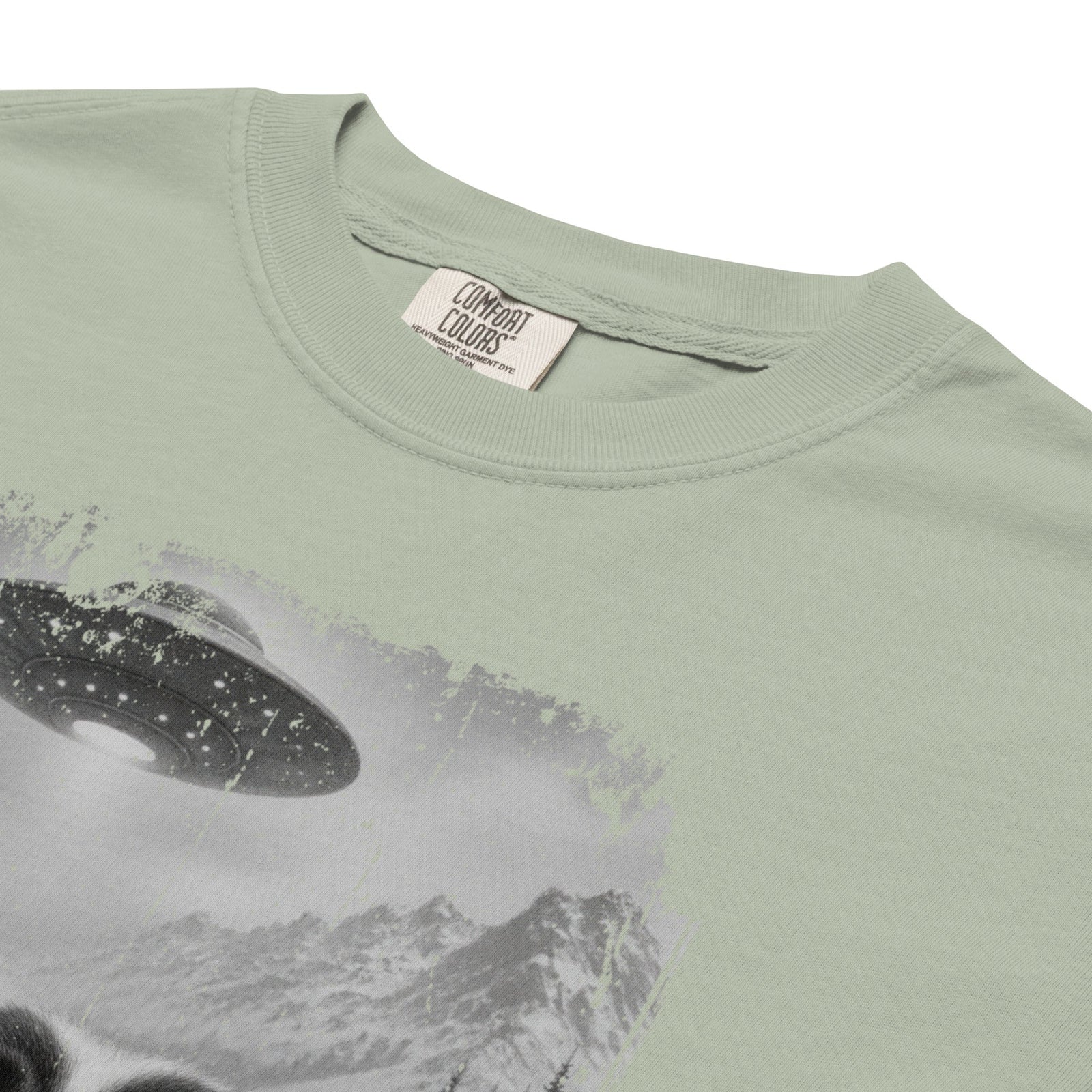 UFO Mountain Saint Bernard Selfie T-Shirt - Lucy + Norman