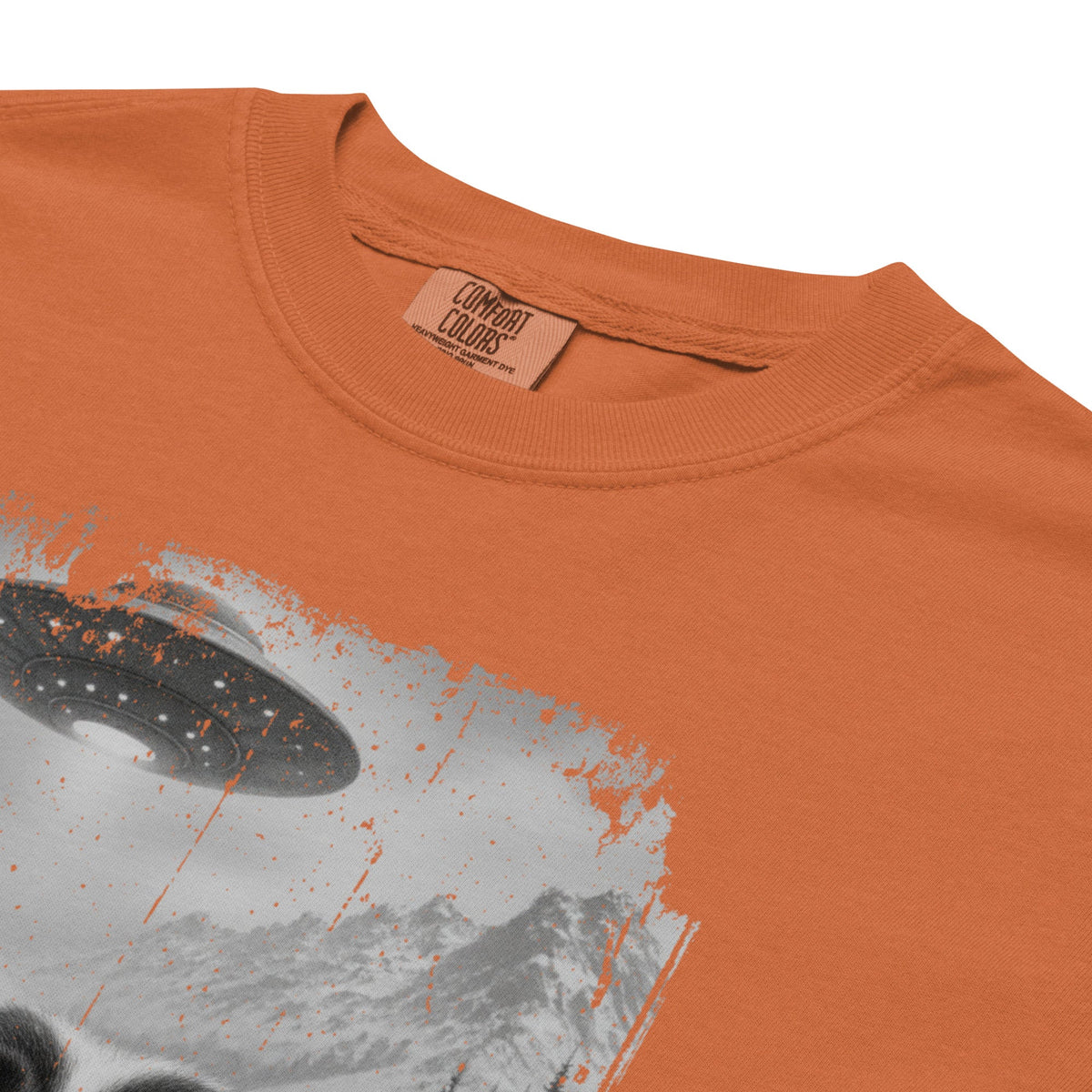 UFO Mountain Saint Bernard Selfie T-Shirt - Lucy + Norman