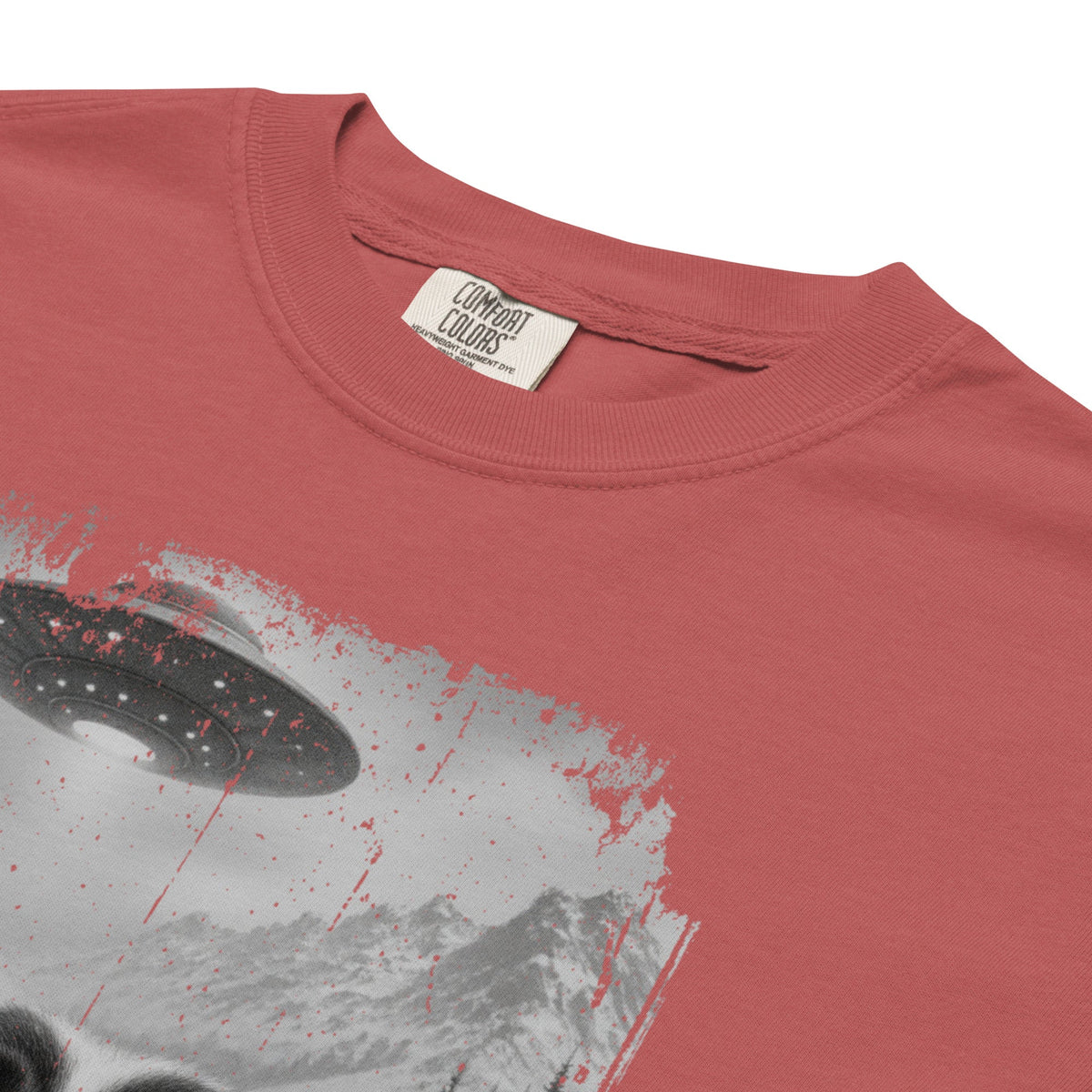 UFO Mountain Saint Bernard Selfie T-Shirt - Lucy + Norman